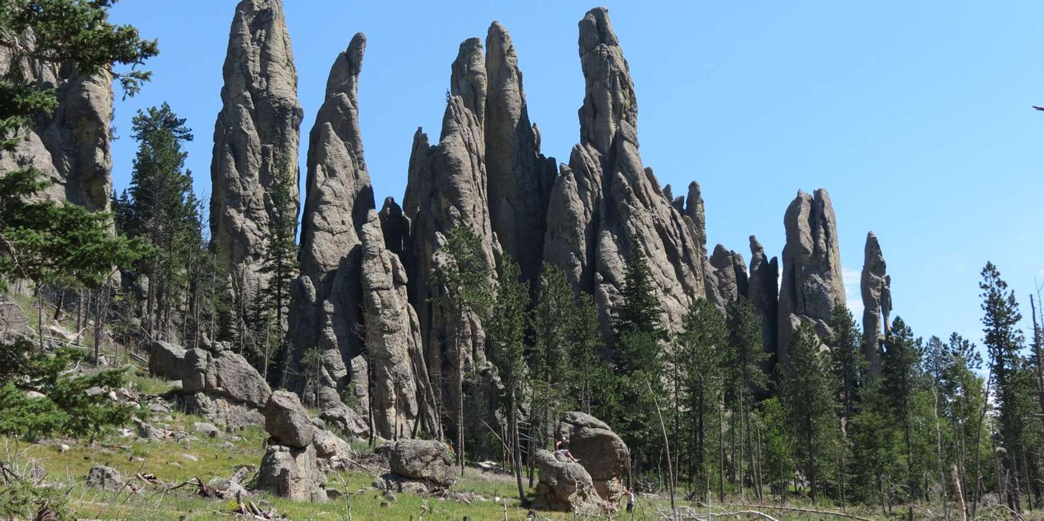 Rapid City Custer State Park and Needles Highway Tour - Image 2