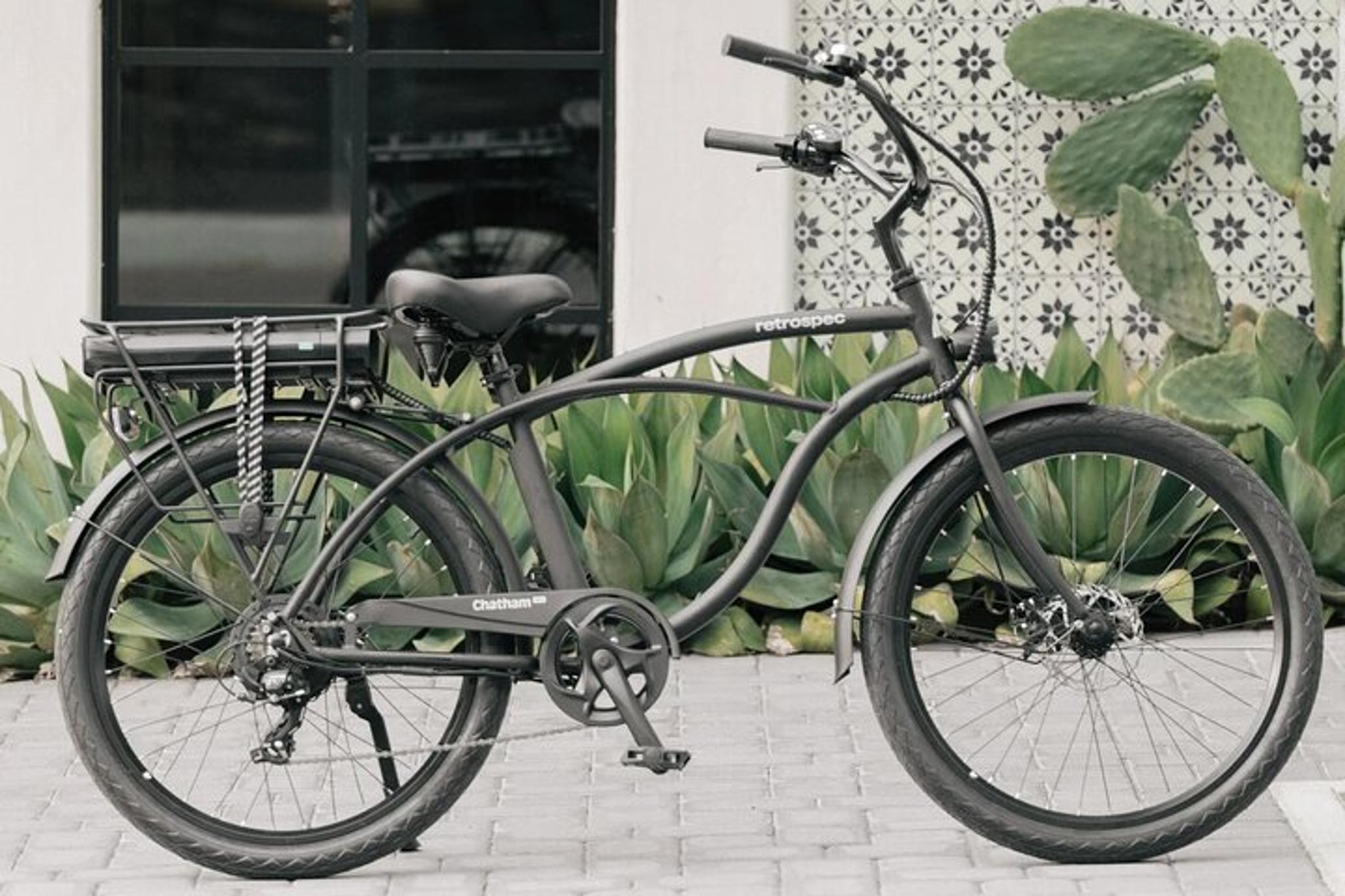 St Petersburg E-Bike Rental