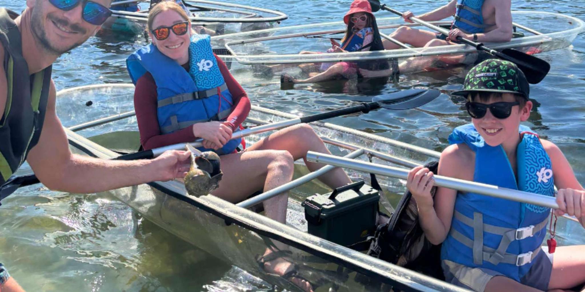 Sarasota Clear Kayak Mangrove Tunnel Tour - Image 5