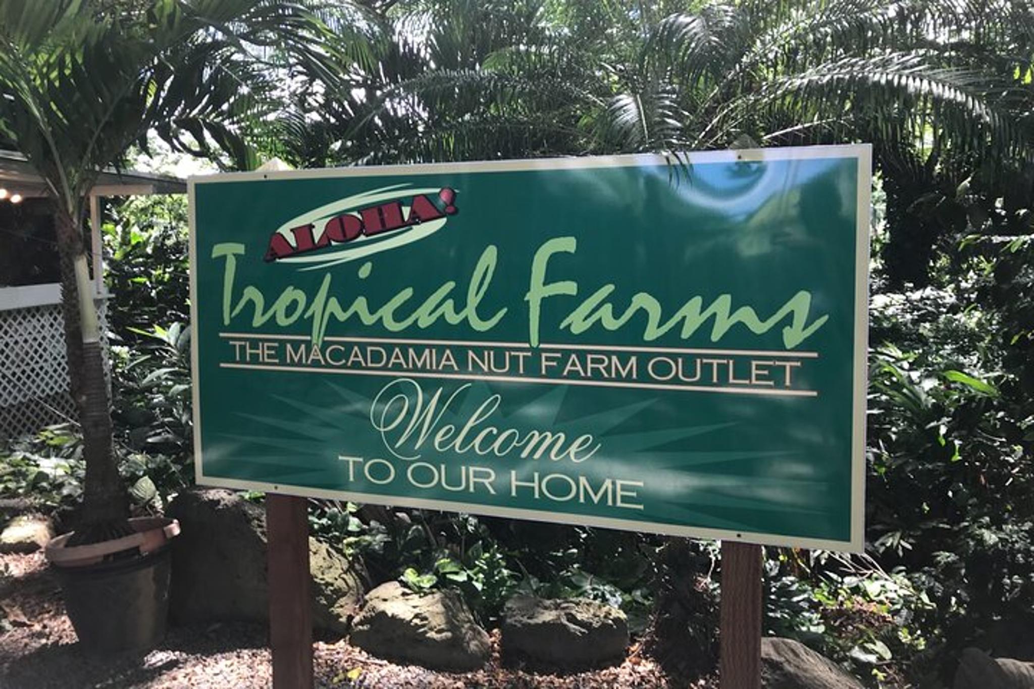 Oahu Circle Island Tour Full Day - Image 6