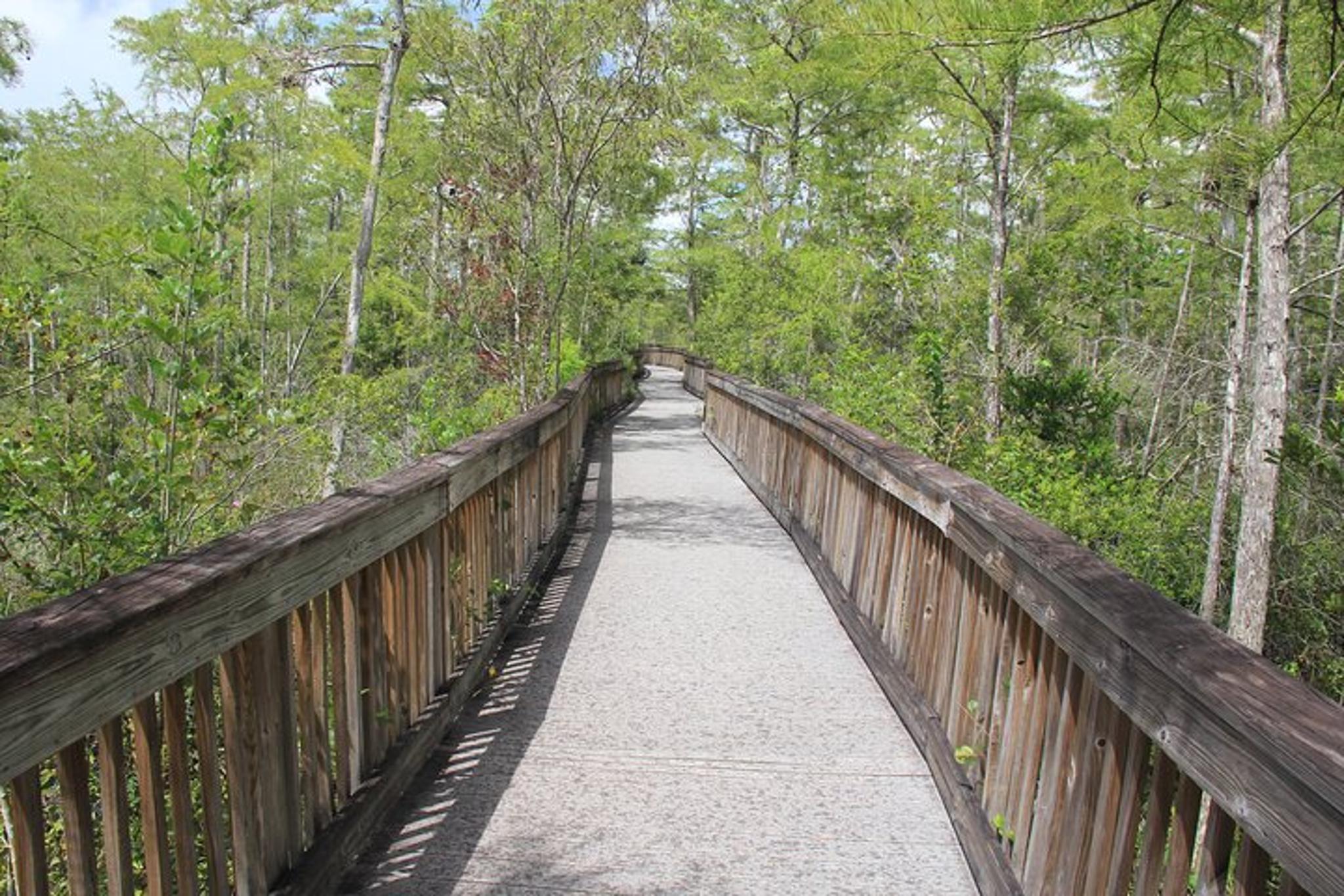 Miami Everglades Safari Day Tour - Image 4