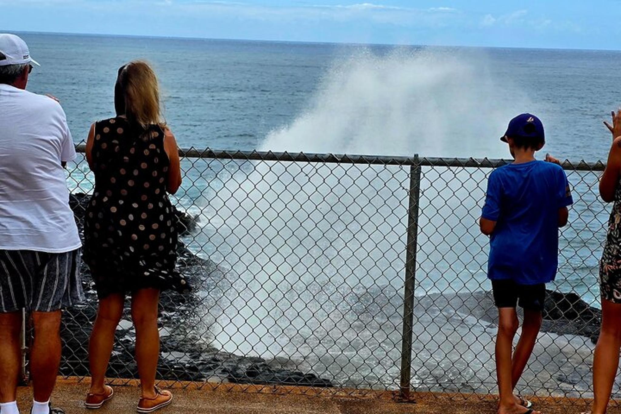 Kauai Waterfalls and Beach Tour 3 hr - Image 4