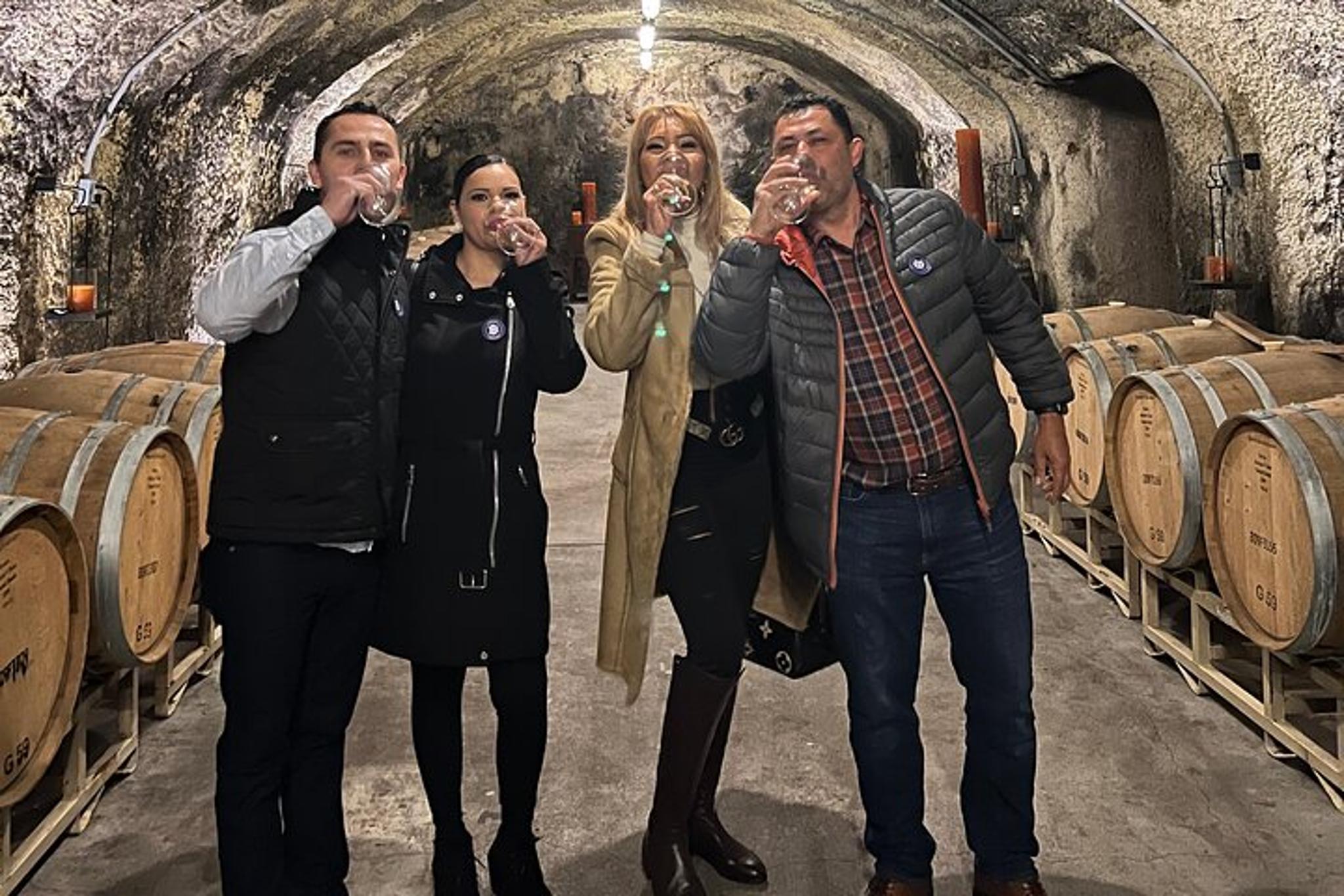 Napa and Sonoma Wine Tour by Private SUV 6 hr