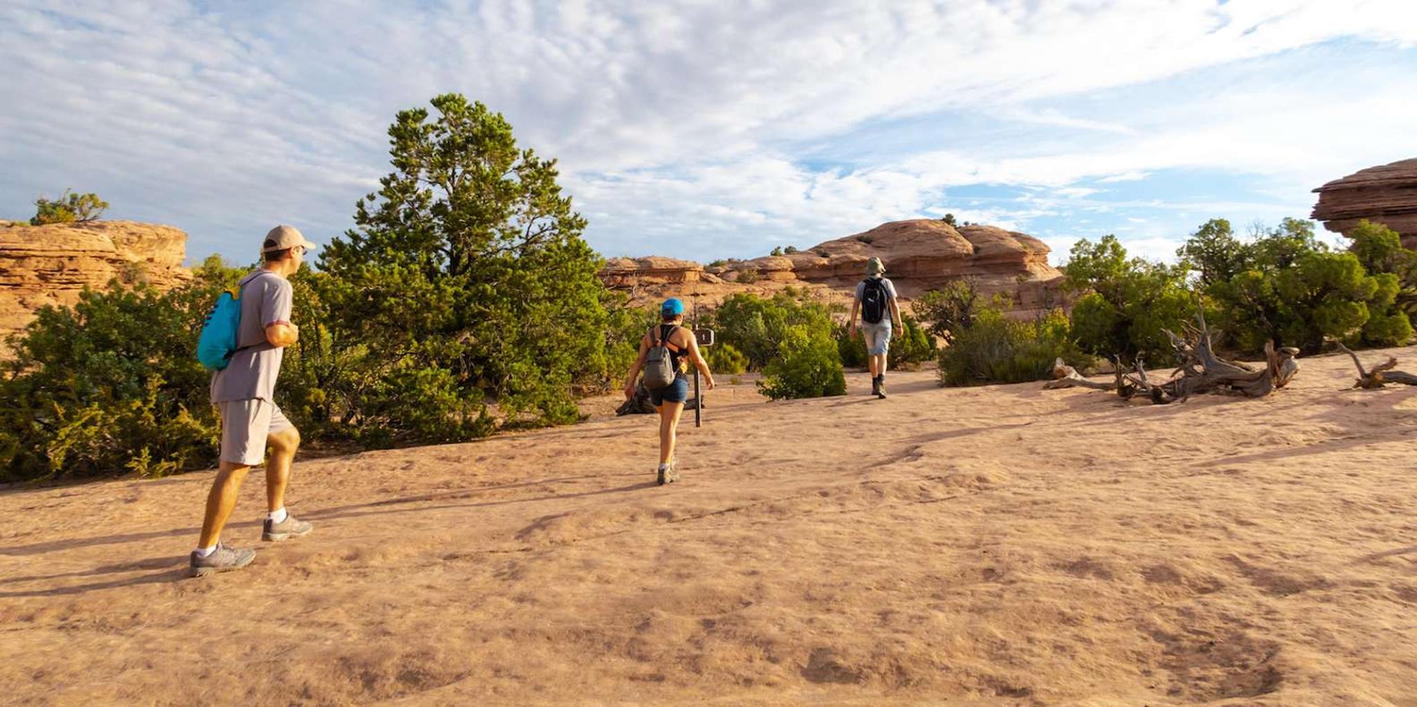 Las Vegas to San Francisco National Parks Tour - Image 4