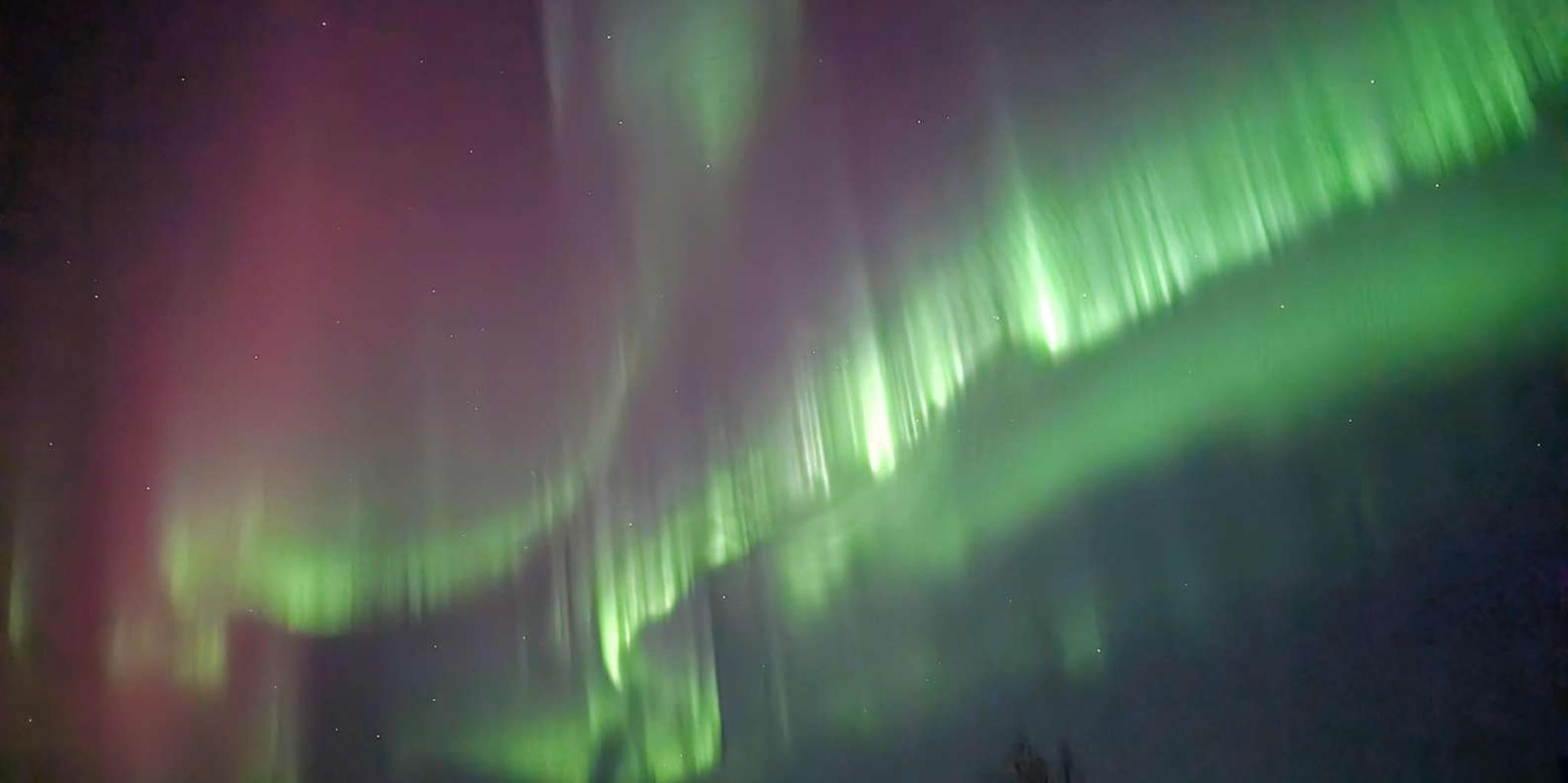 Fairbanks Arctic Circle Northern Lights Tour - Image 4