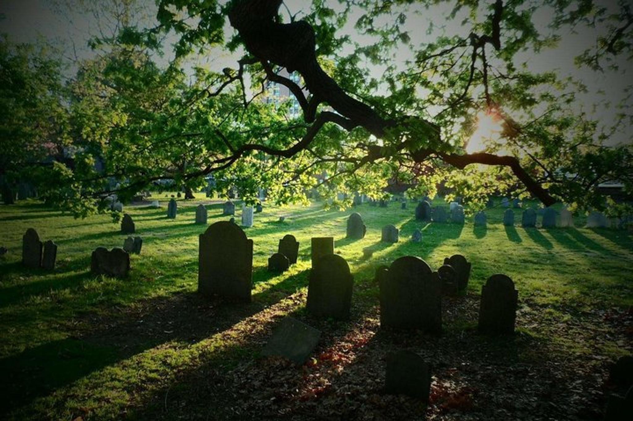 Salem History & Sightseeing Walking Tour 2.5 Hr - Image 3