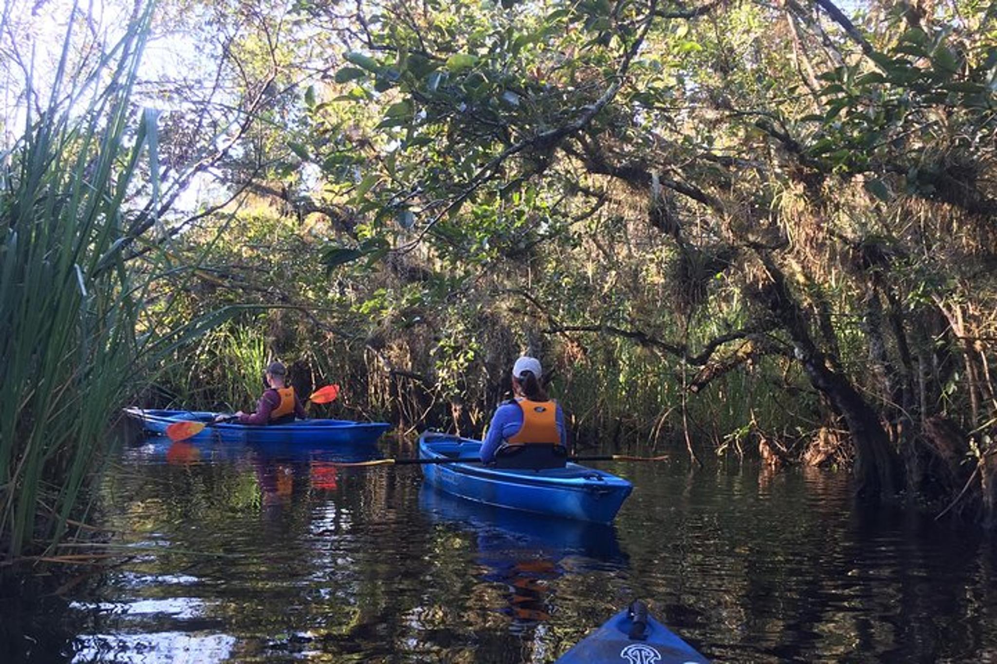 Everglades Kayak Safari Through Mangrove Tunnels - Image 6