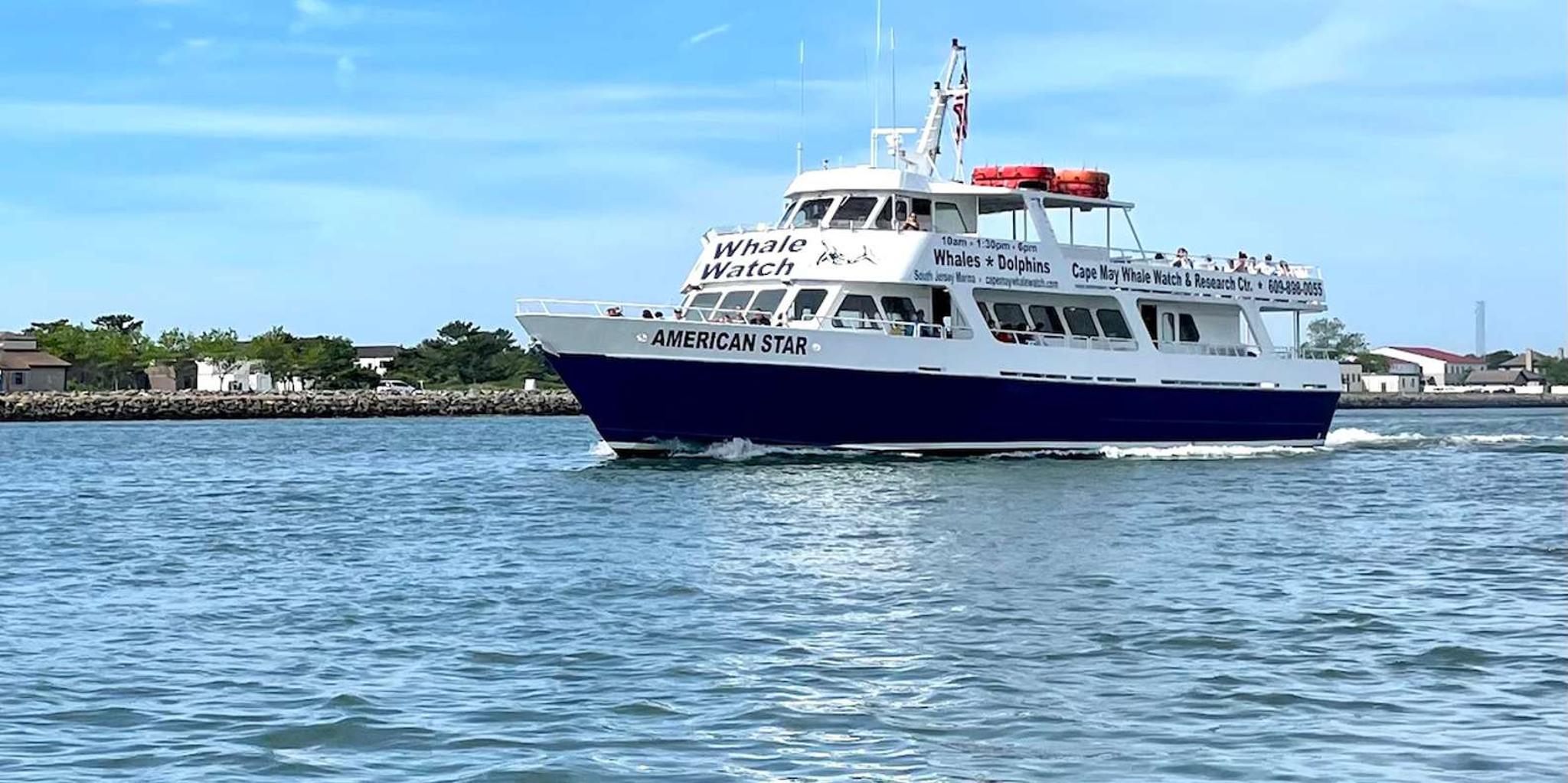 Cape May Whale and Dolphin Watching Cruise - Image 2