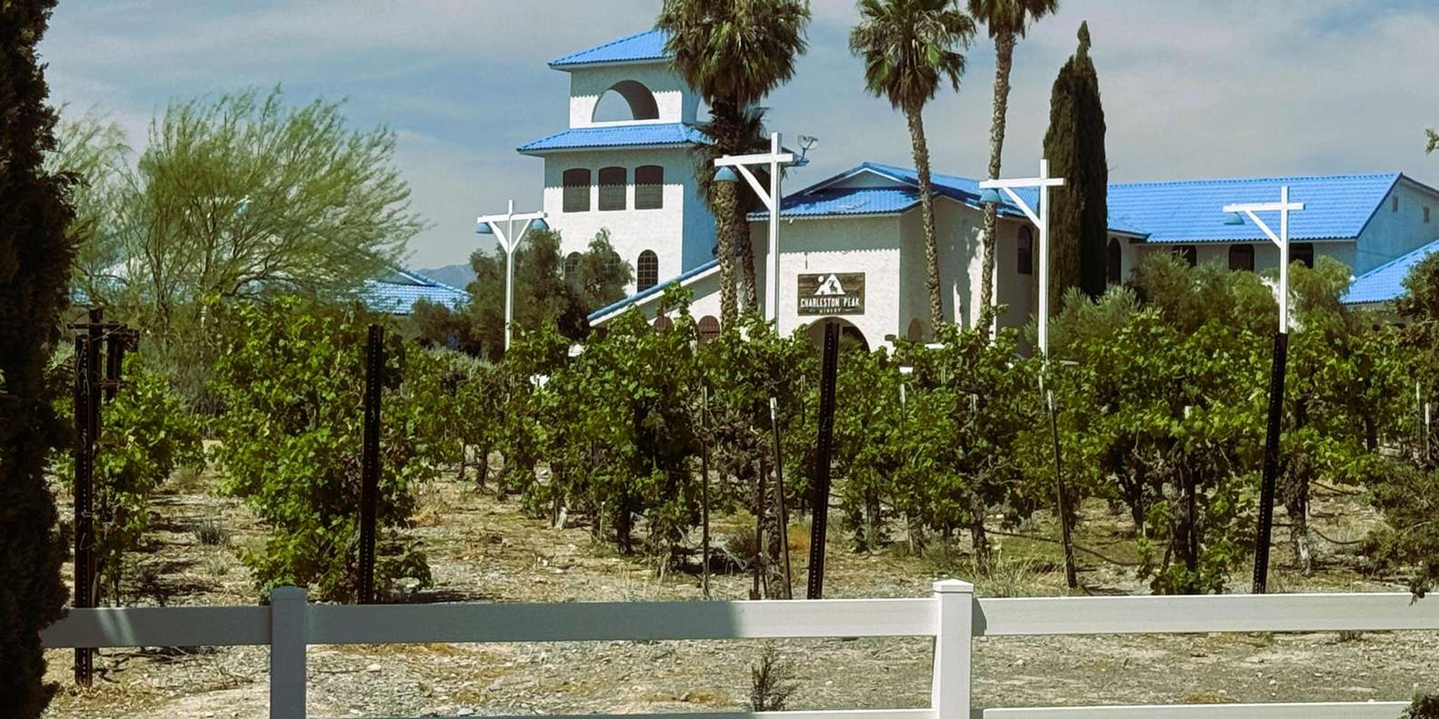 Las Vegas Wine Tasting Tour in Pahrump - Image 3