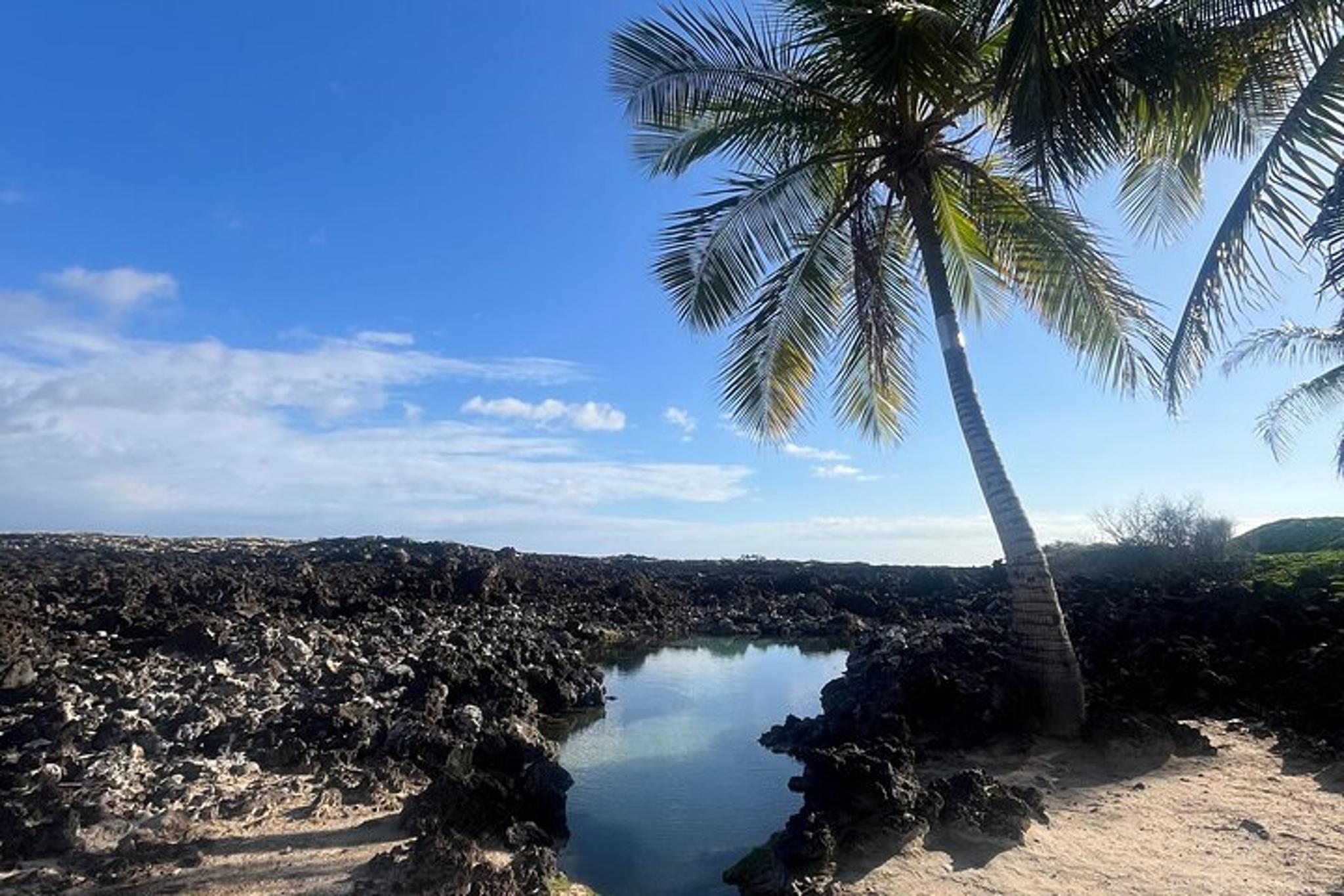 Kailua-Kona Hike and Swim with Native Hawaiian - Image 4