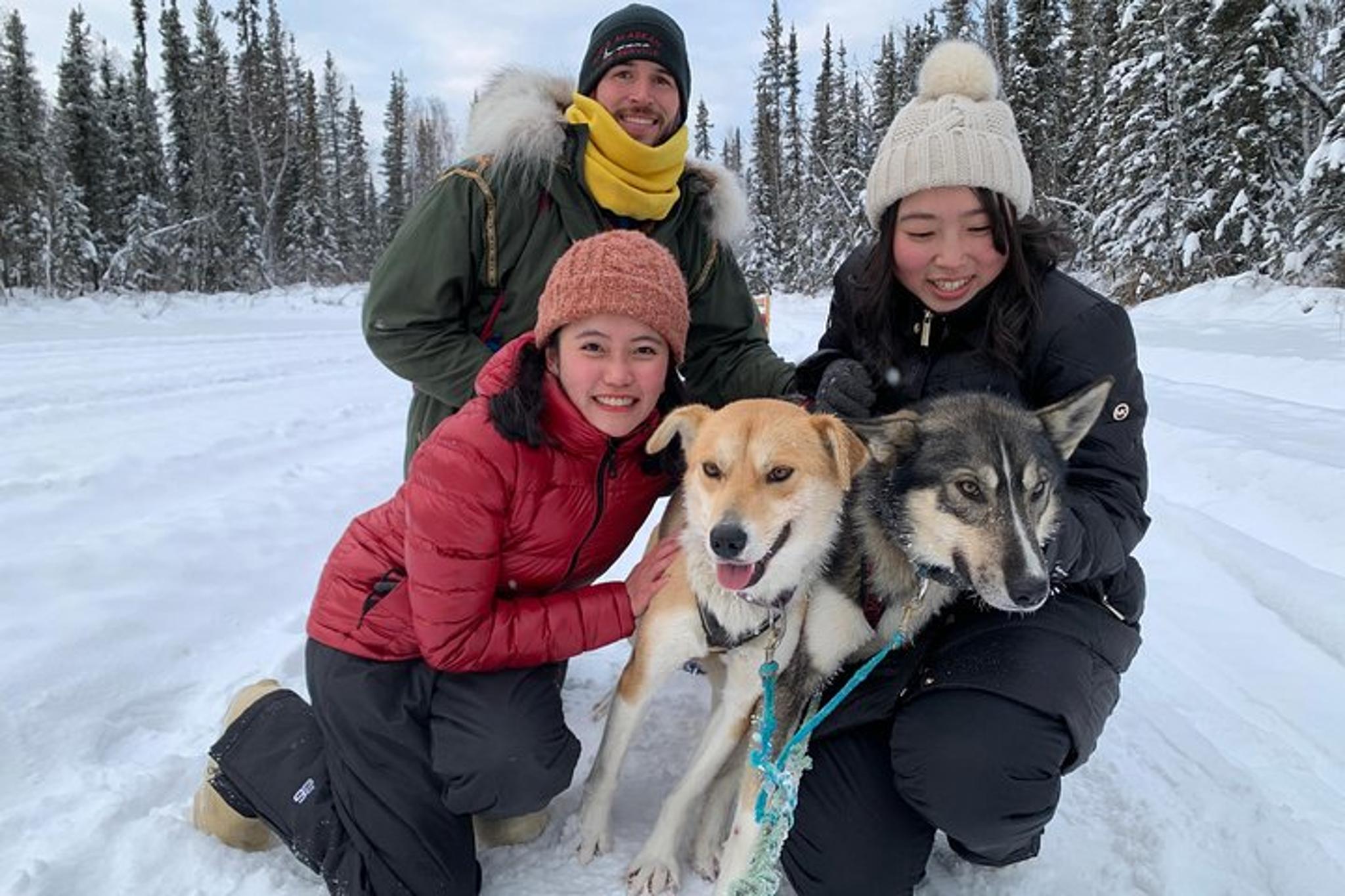 North Pole Dog Sledding Experience - Image 5