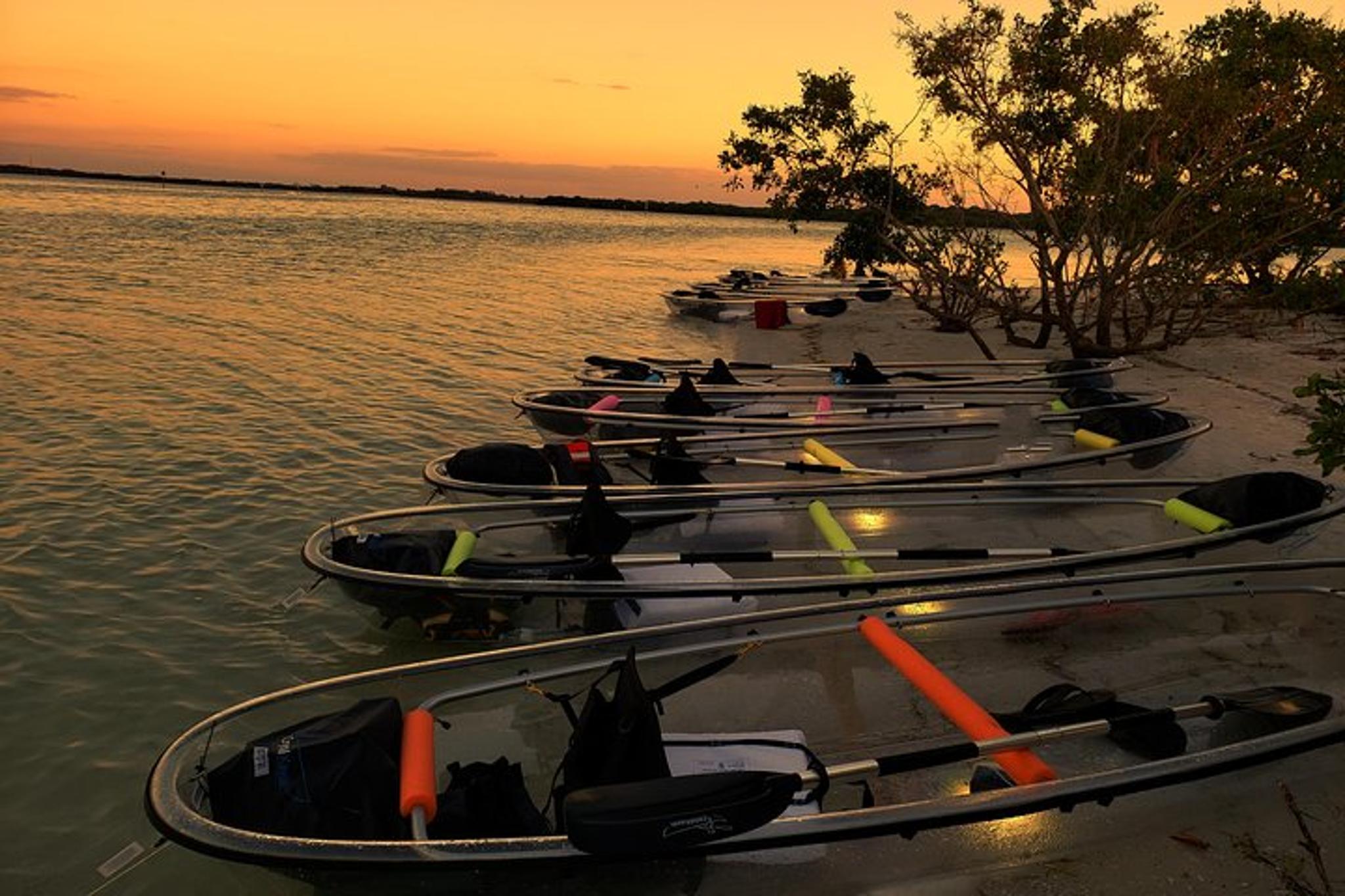 St Pete Clear Kayak Tour in Shell Key - Image 3