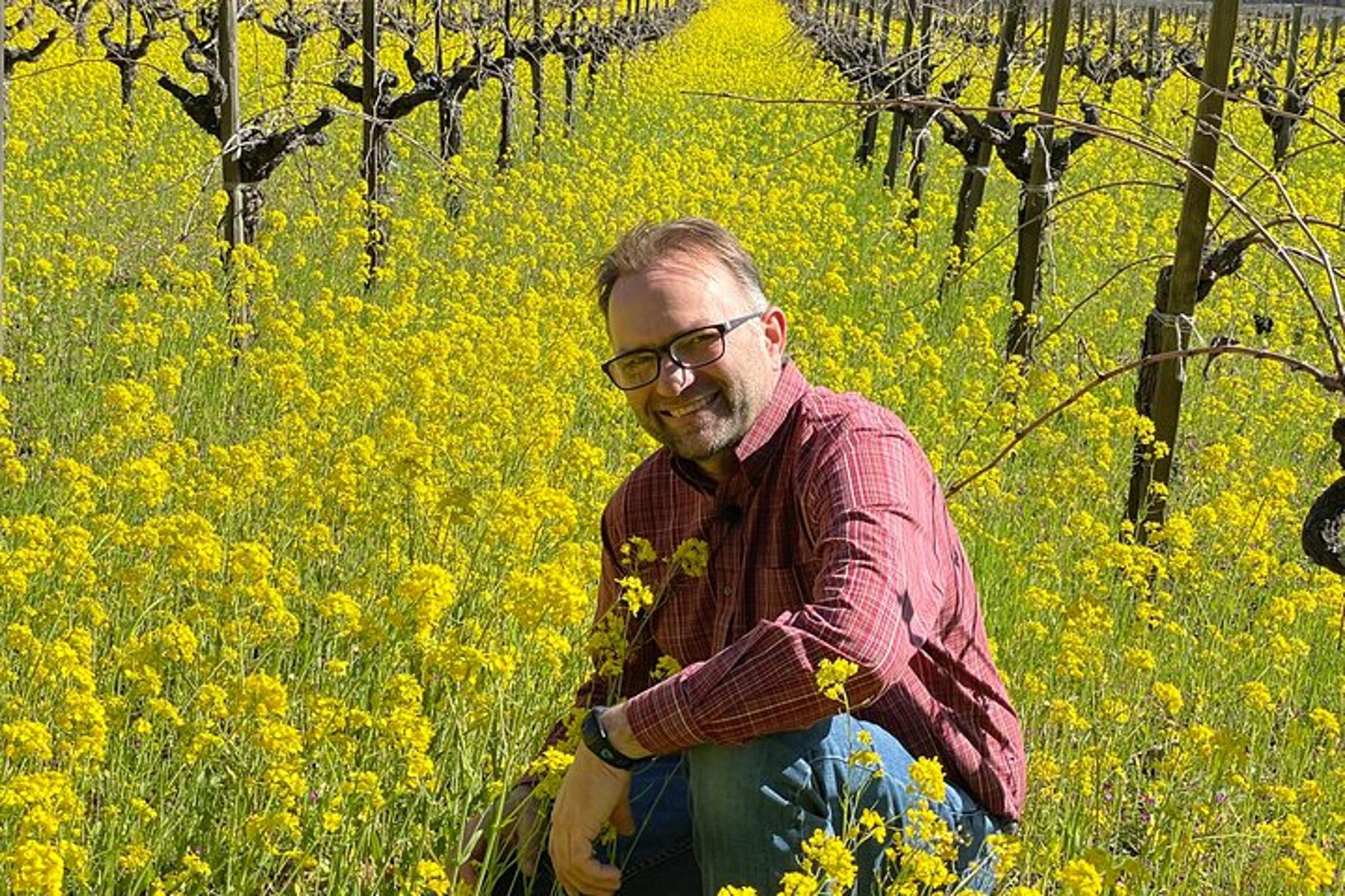 Napa Wine Tour SUV Experience - Image 3