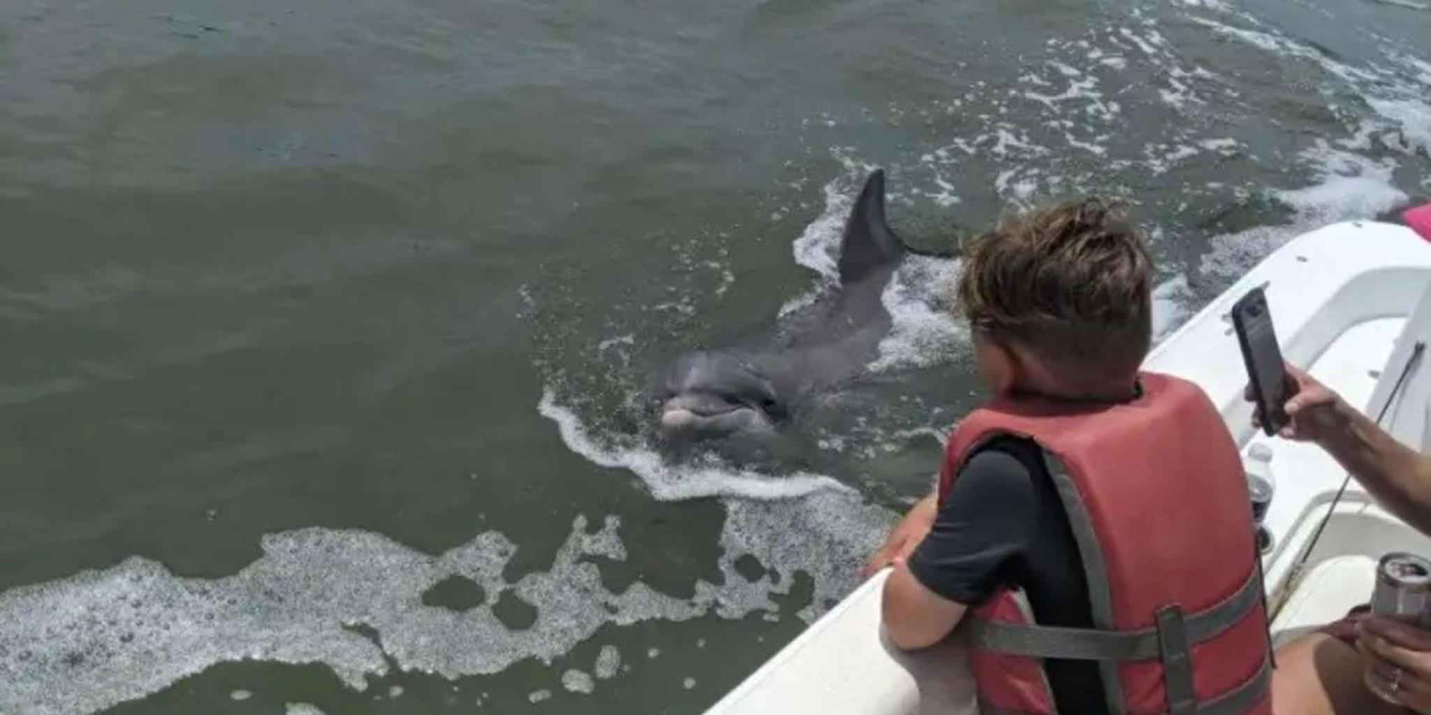 Hilton Head Private Dolphin and Tubing Adventure - Image 4