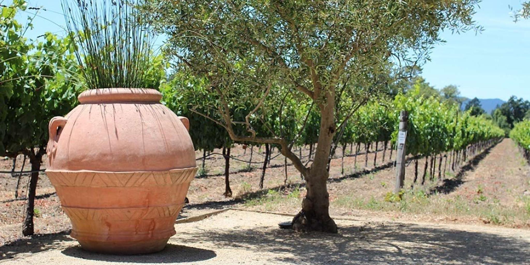 San Francisco Wine and City Tour - Image 5