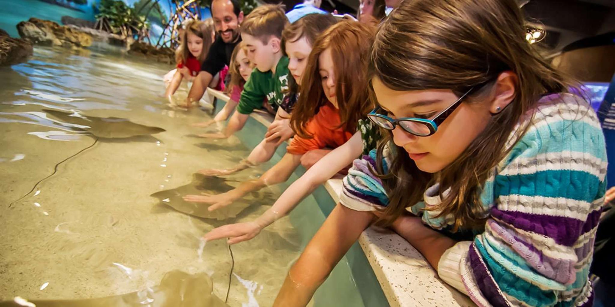 Boston New England Aquarium Tour 1 hr - Image 1