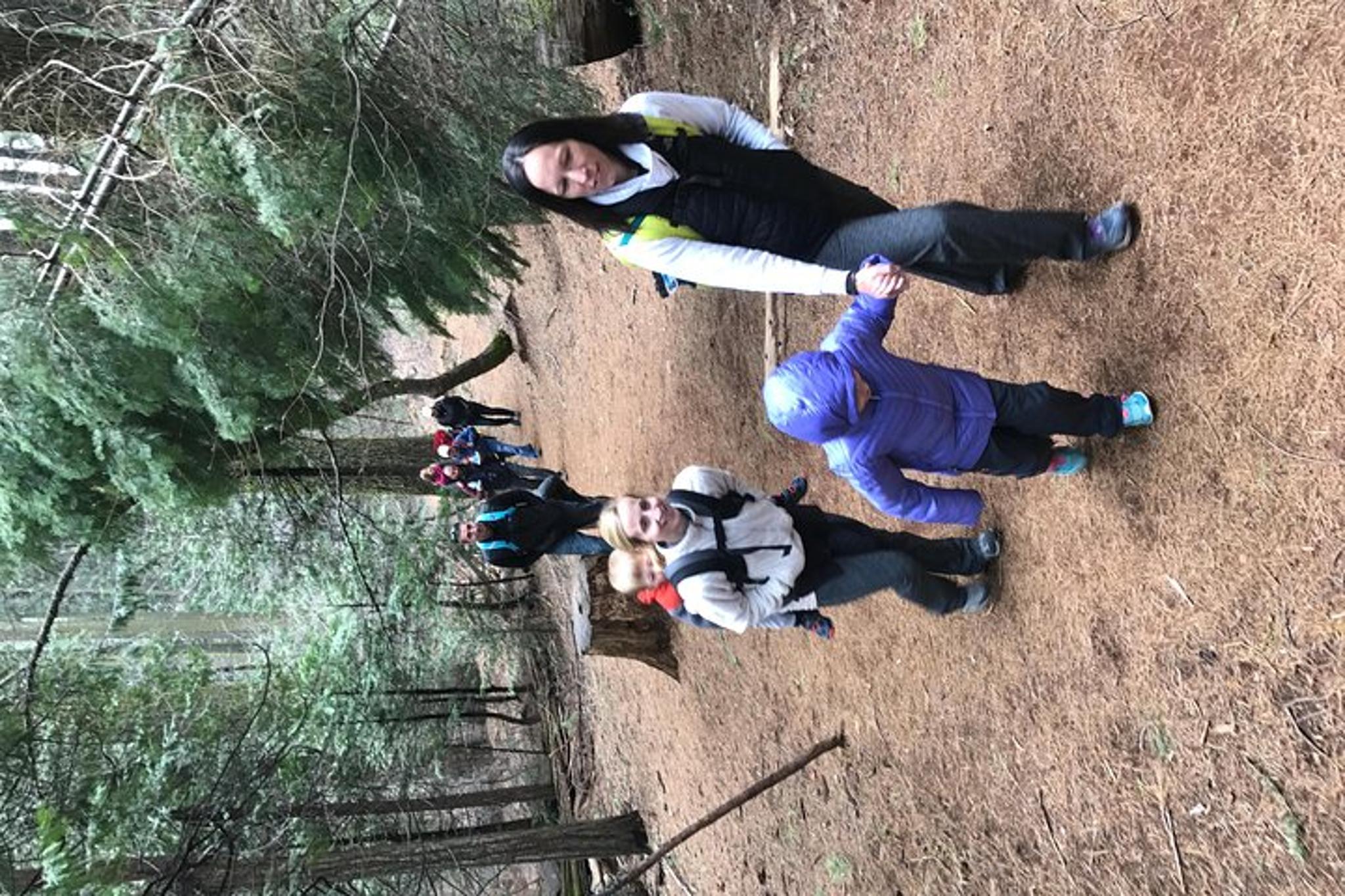 Yosemite Off-Road Giant Sequoia 4x4 Tour - Image 5