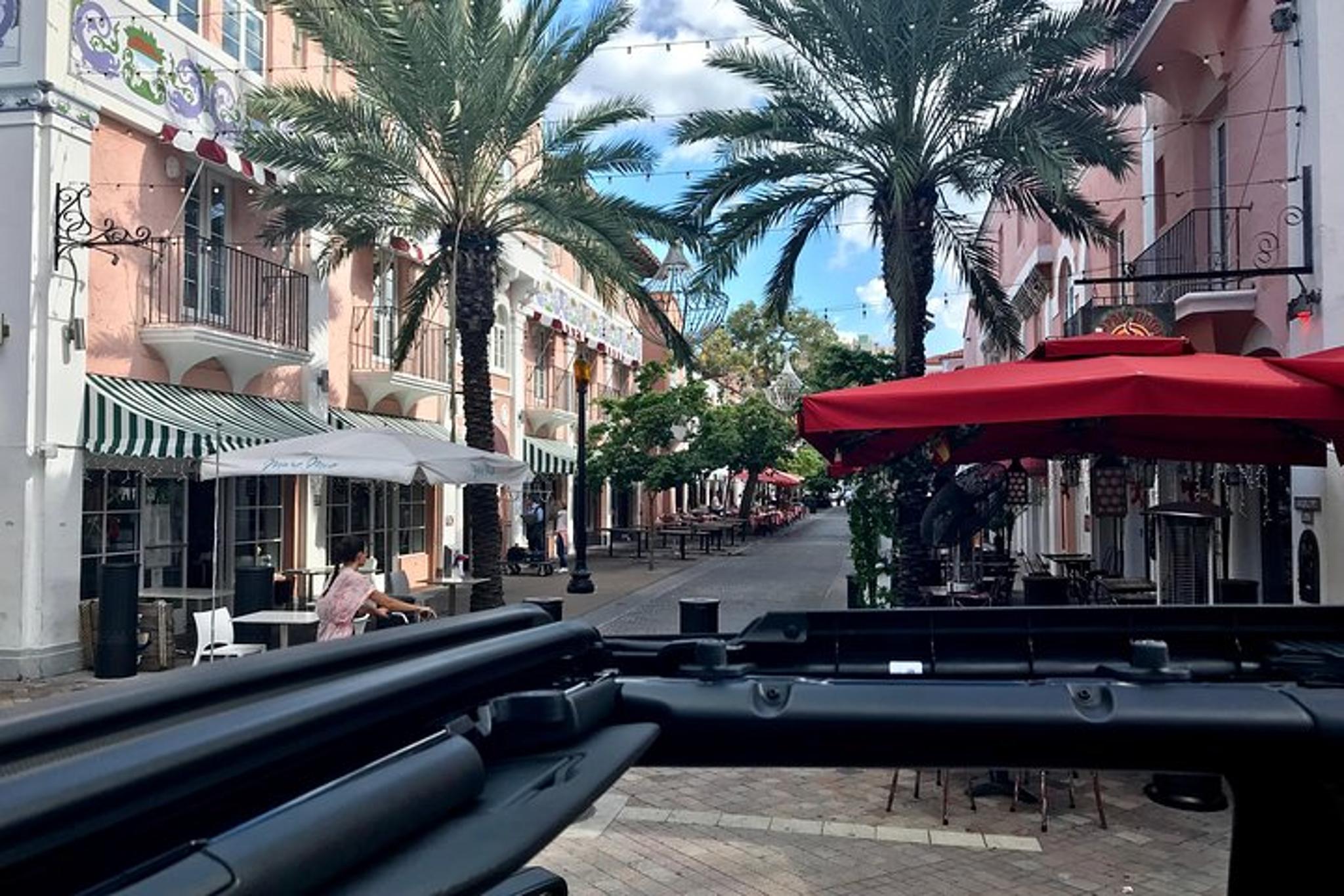 Miami History and Architecture Private Tour - Image 4