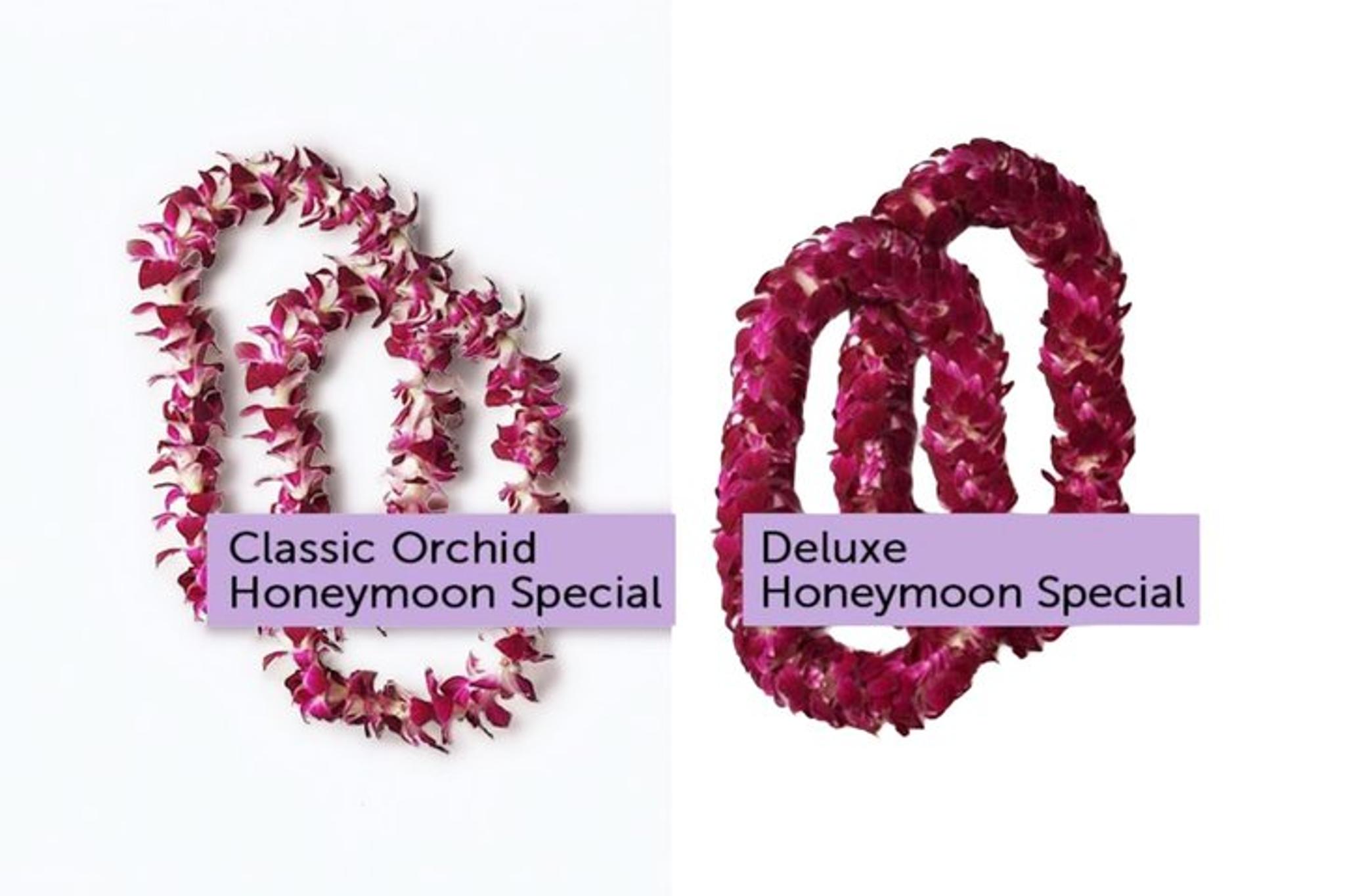 Lihue Airport Lei Greeting - Image 3