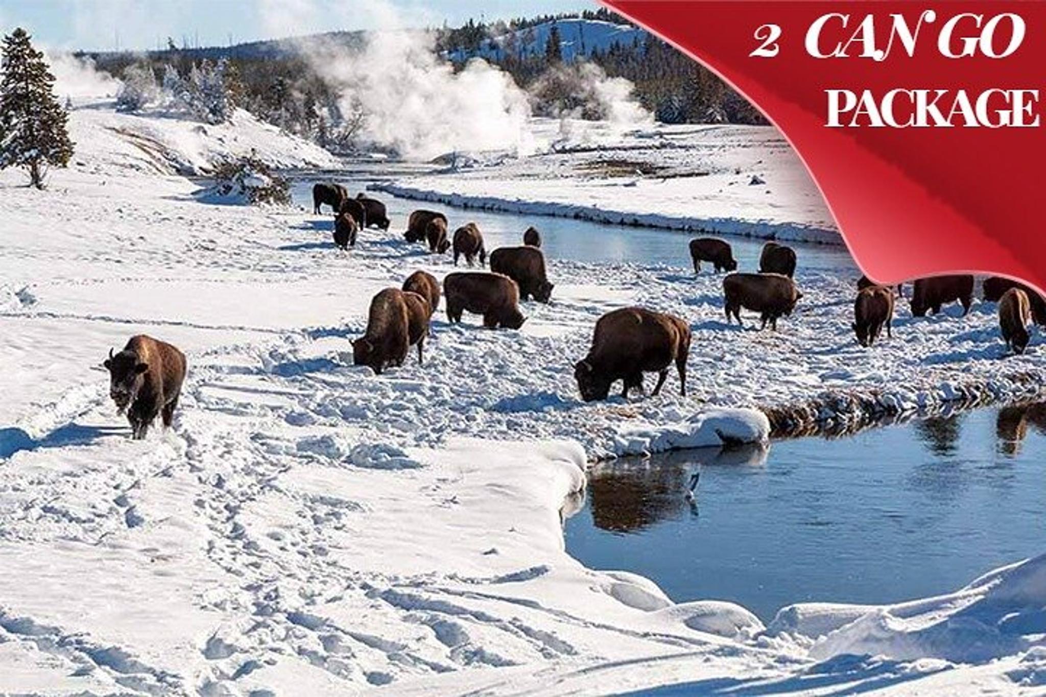 Yellowstone & Grand Teton Winter Tour 4-Day