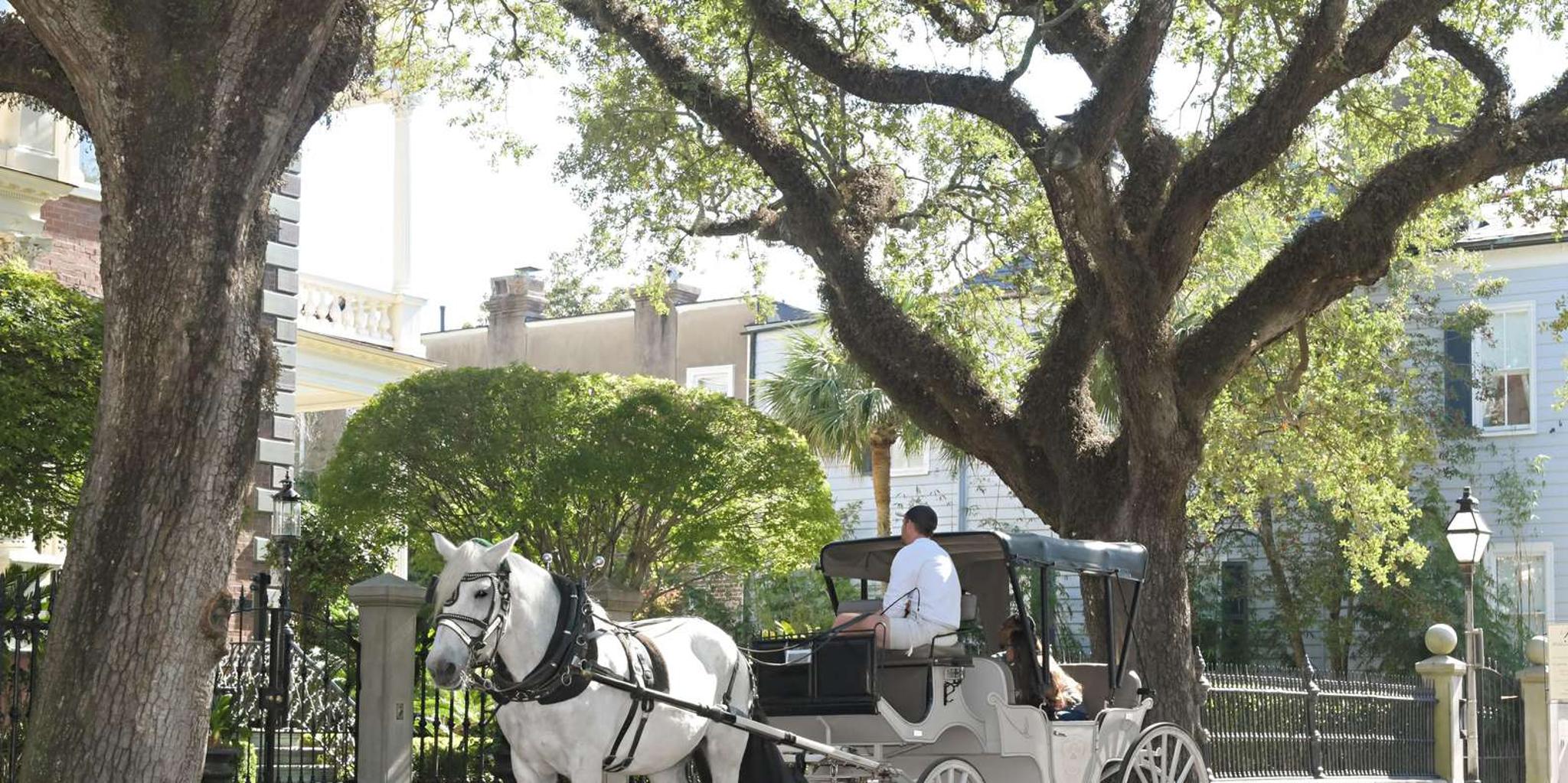 Charleston Horse-Drawn Carriage Tour - Image 6