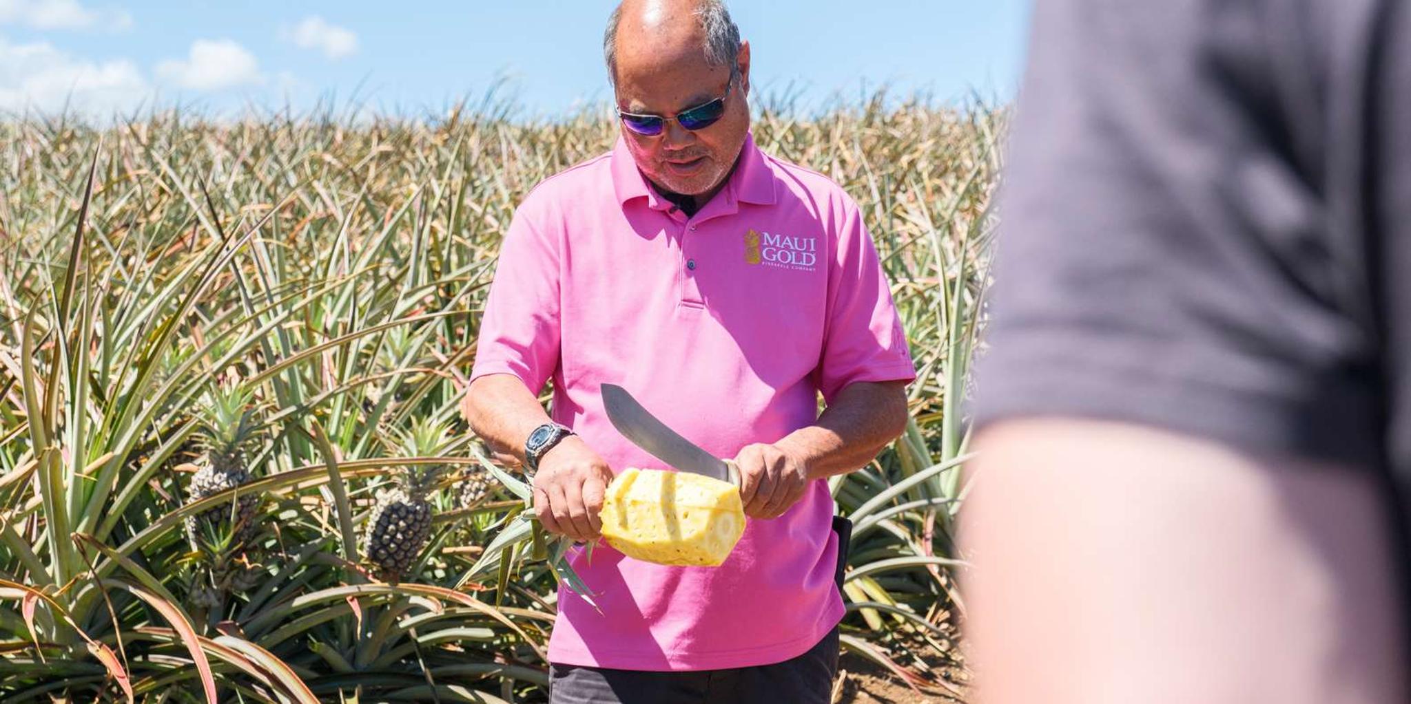 Haliimaile Pineapple Farm Tour - Image 2