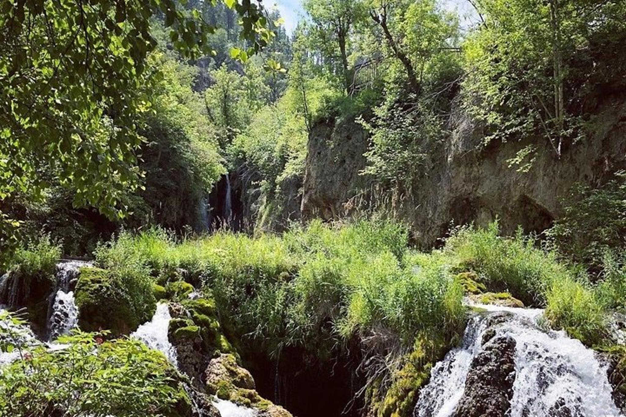 Rapid City Northern Black Hills Private Tour - Image 2