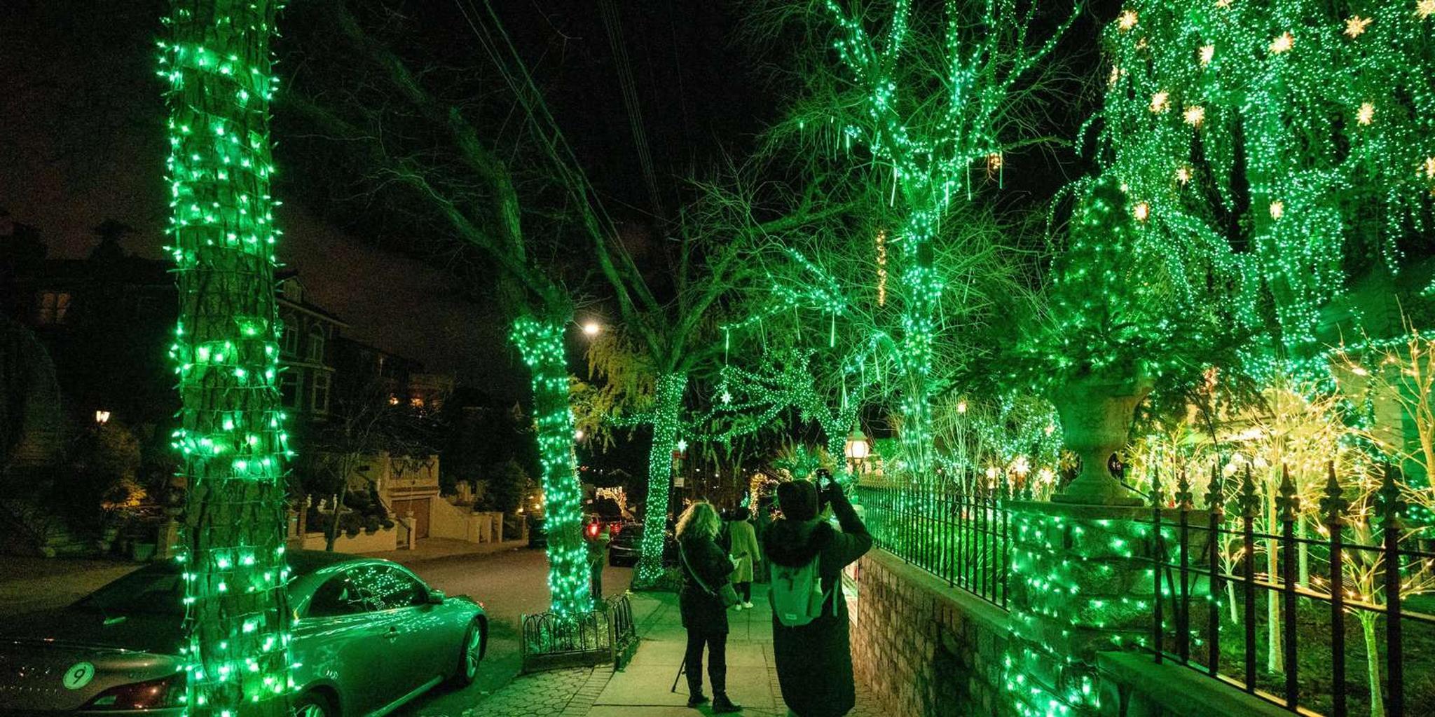 New York City Dyker Heights Christmas Lights Tour - Image 3