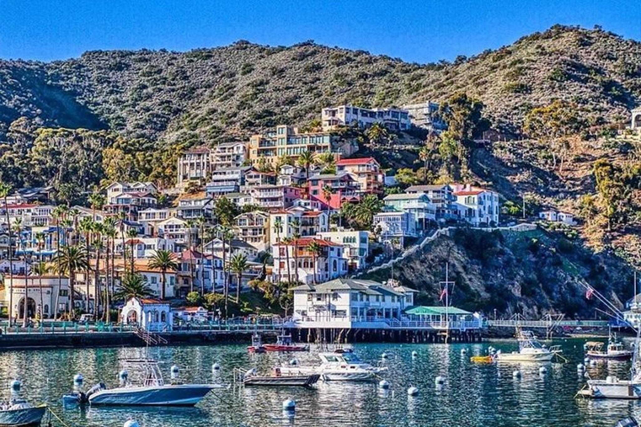 Avalon Catalina Scenic Tour 50 min - Image 2