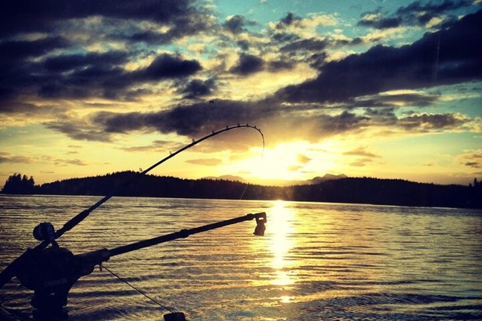Ketchikan Salmon Fishing Charter - Image 4