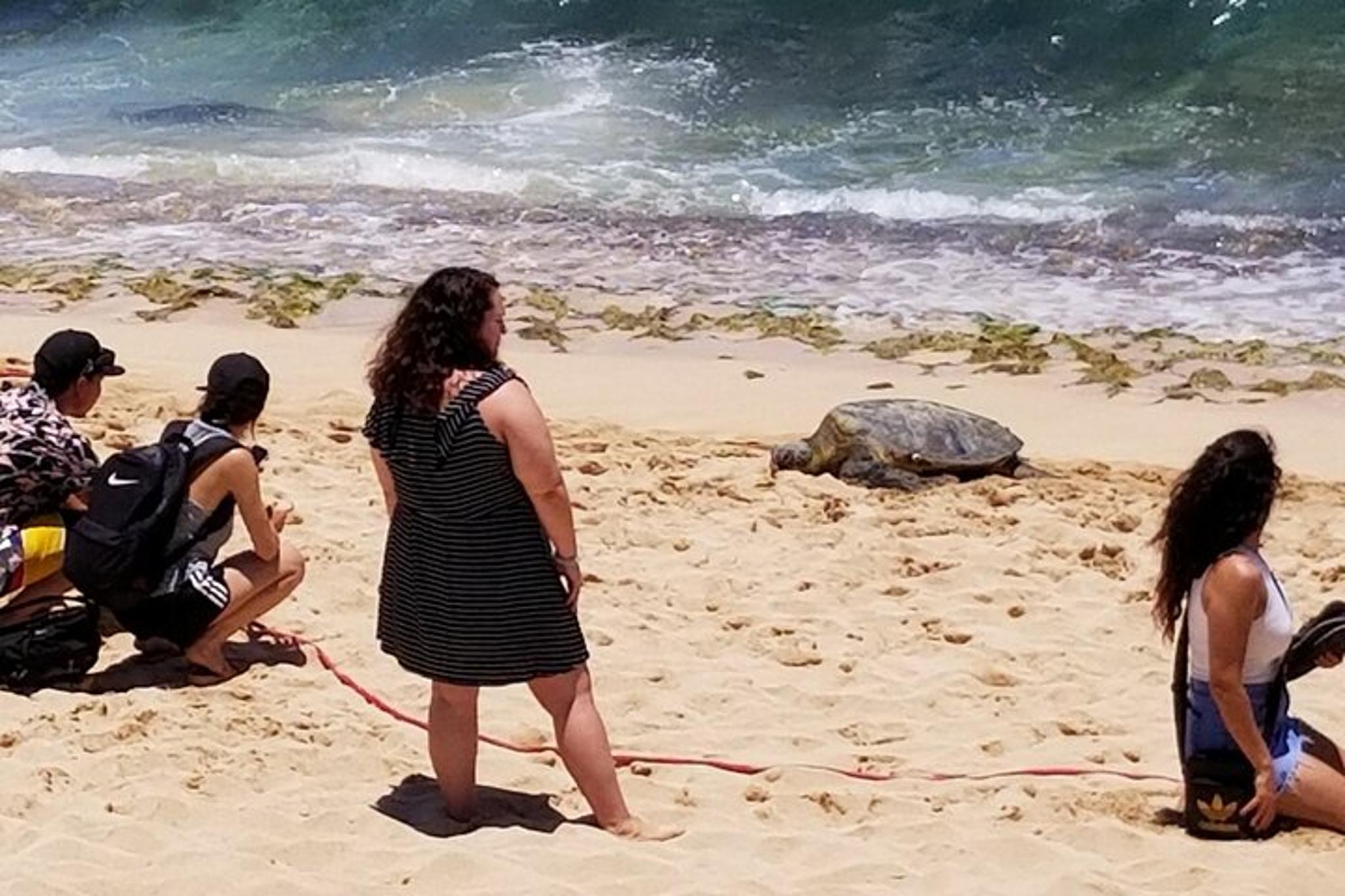 Kailua Circle Island Tour with Chocolate and Wine - Image 4