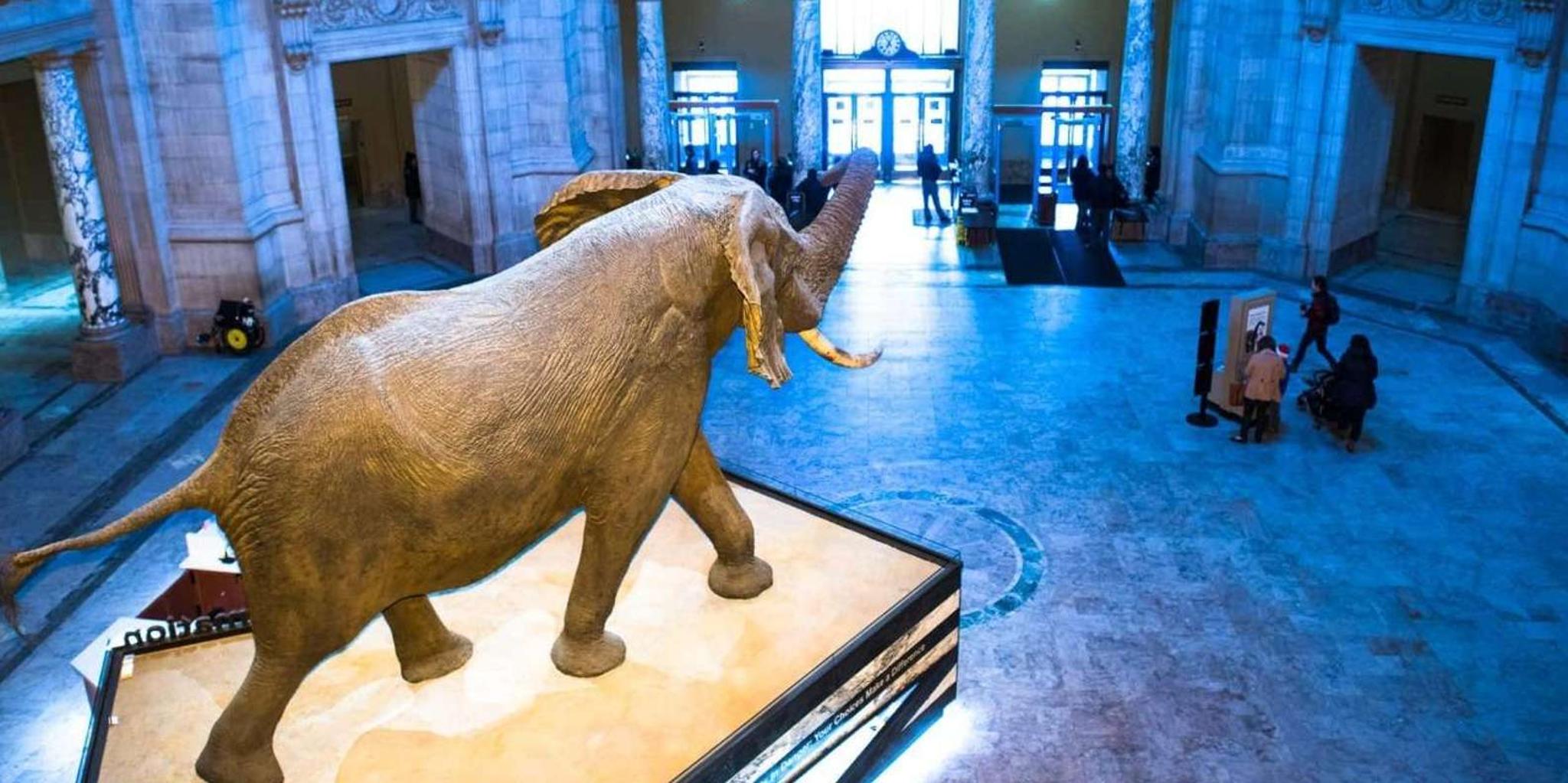 Washington DC Private Night City Tour - Image 3