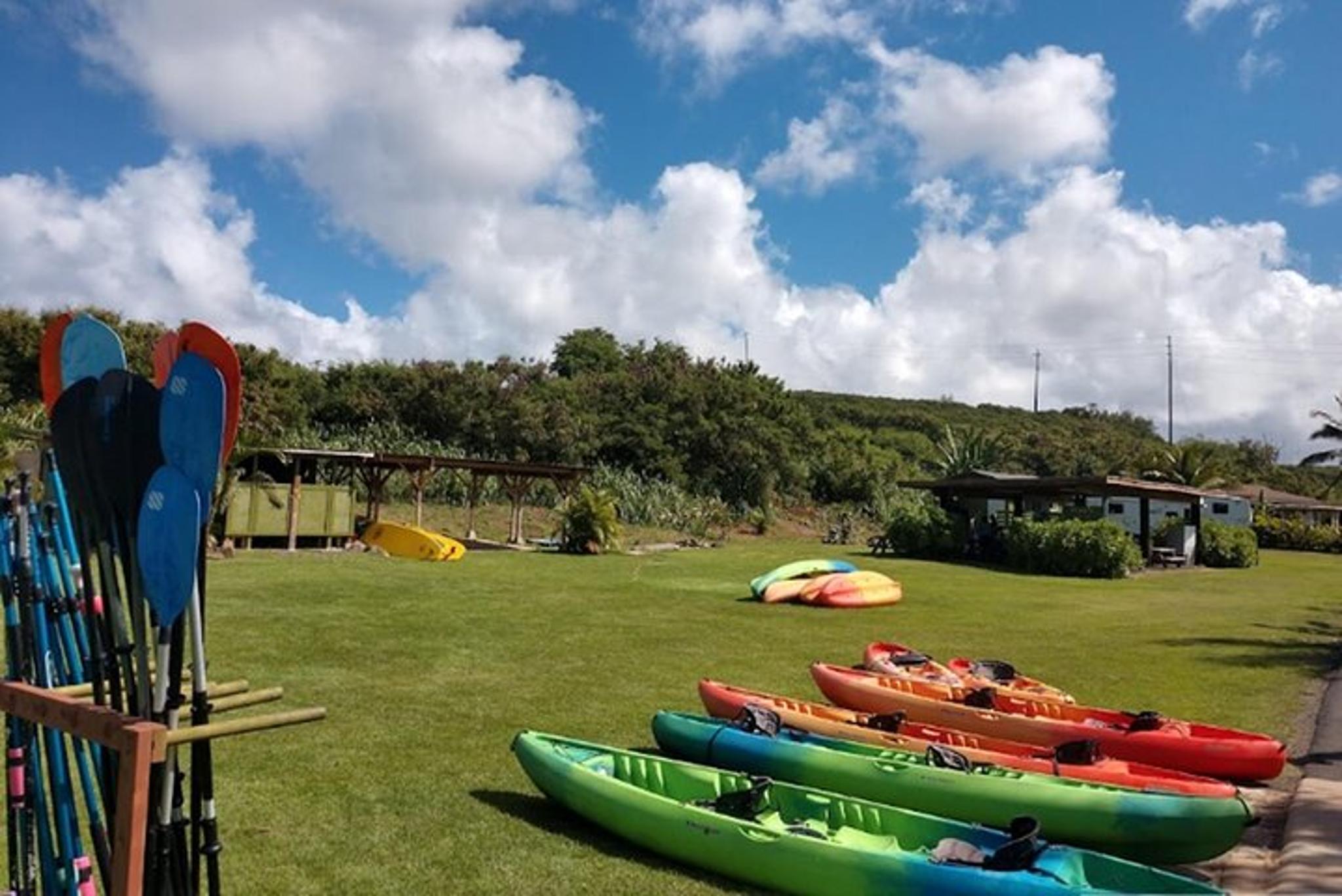 Oahu North Shore Adventure Full-Day Experience - Image 5