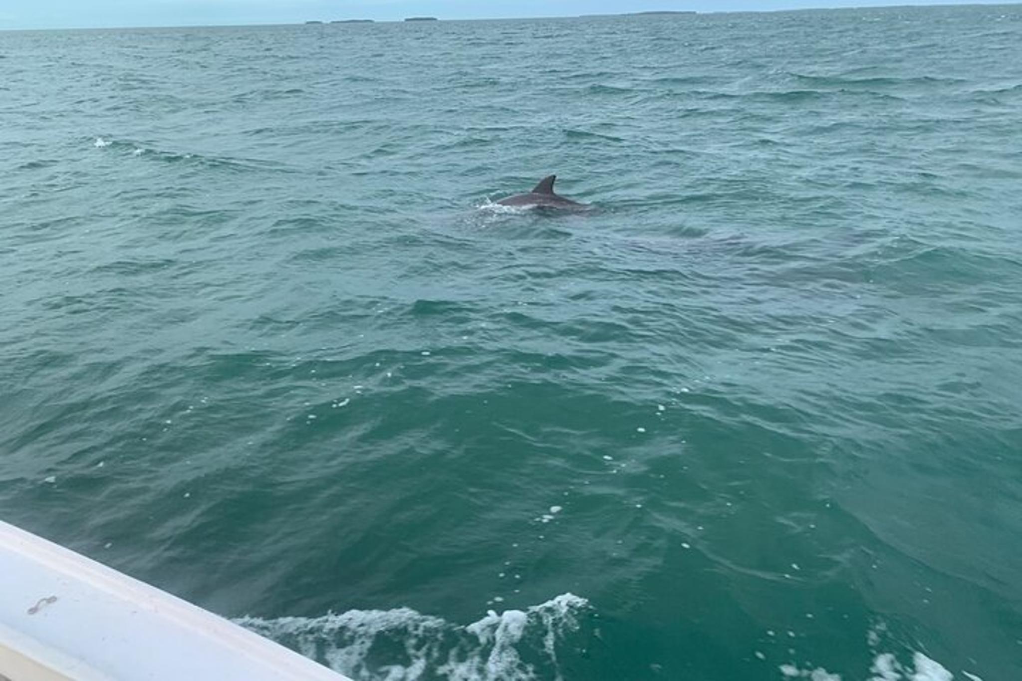 Key West Custom Charter with Local Captain - Image 4
