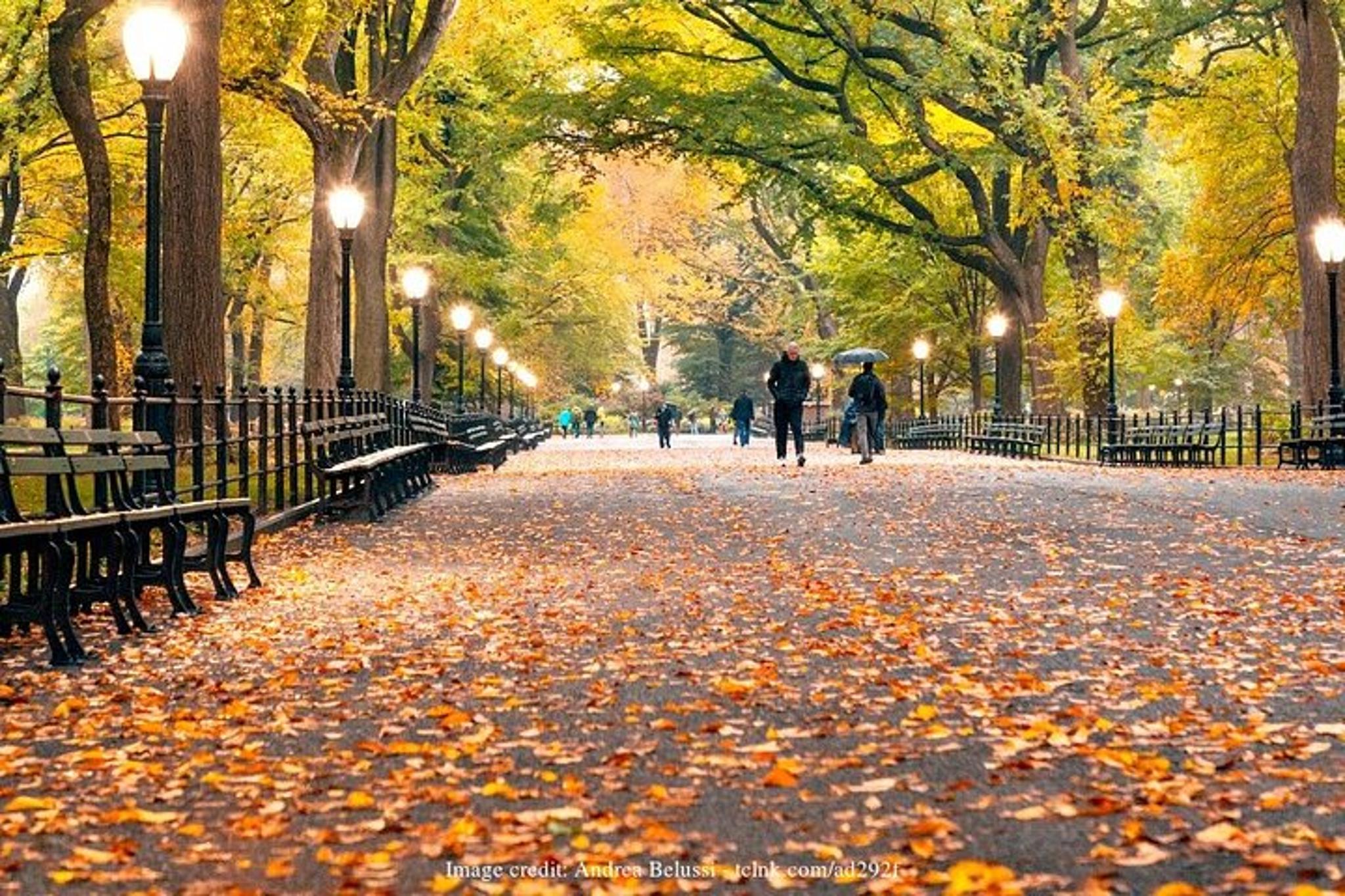 New York City Central Park Filming Locations Tour - Image 2