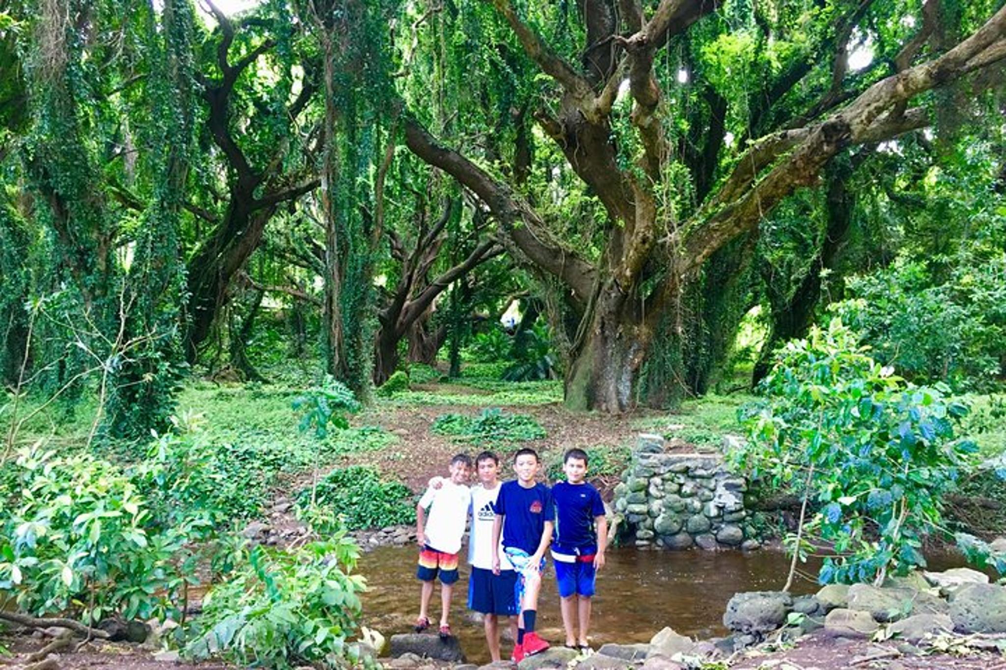 Maui Private Tour - Image 5