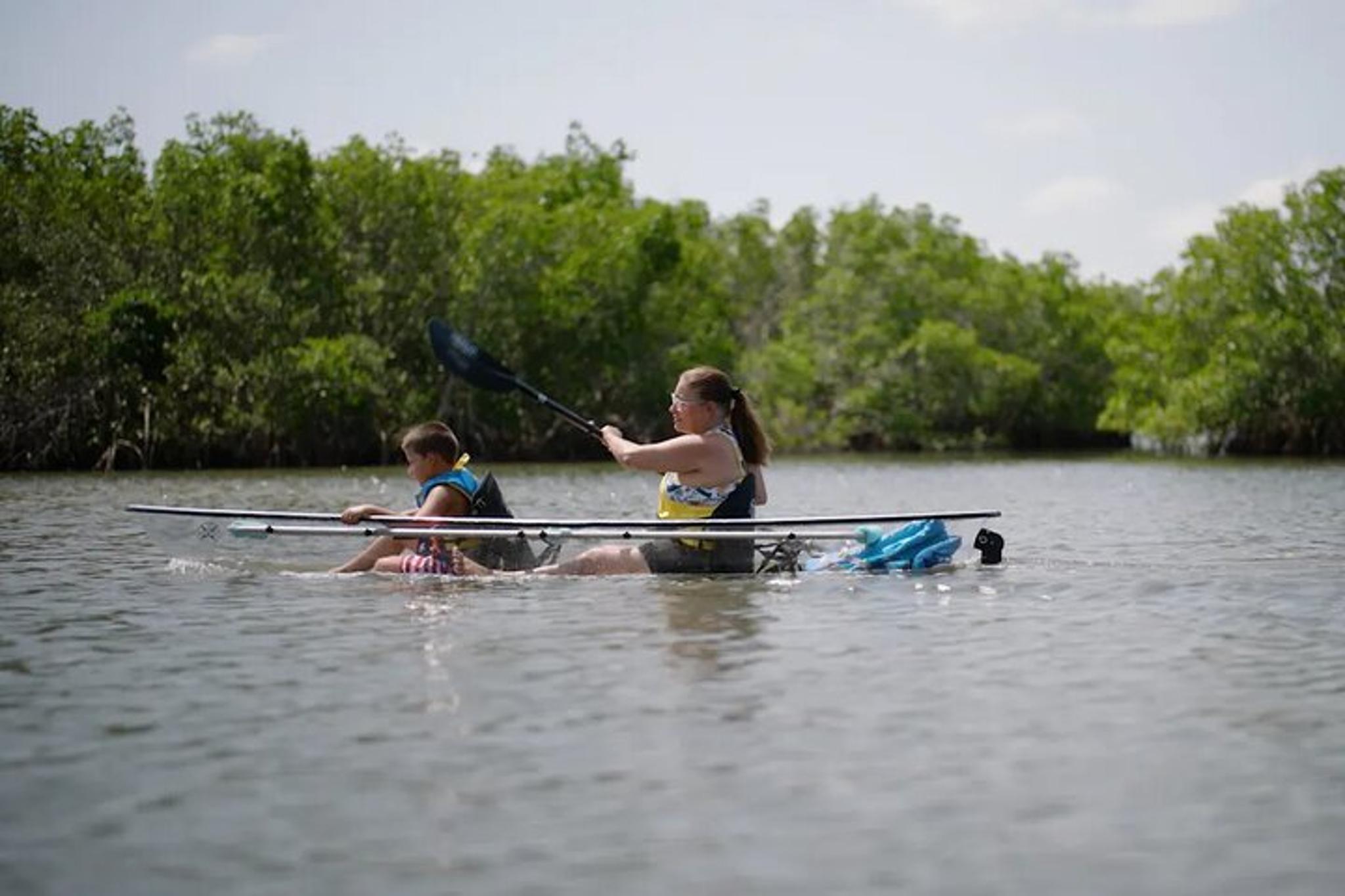 New Smyrna Beach Clear Kayak Tour - Image 4