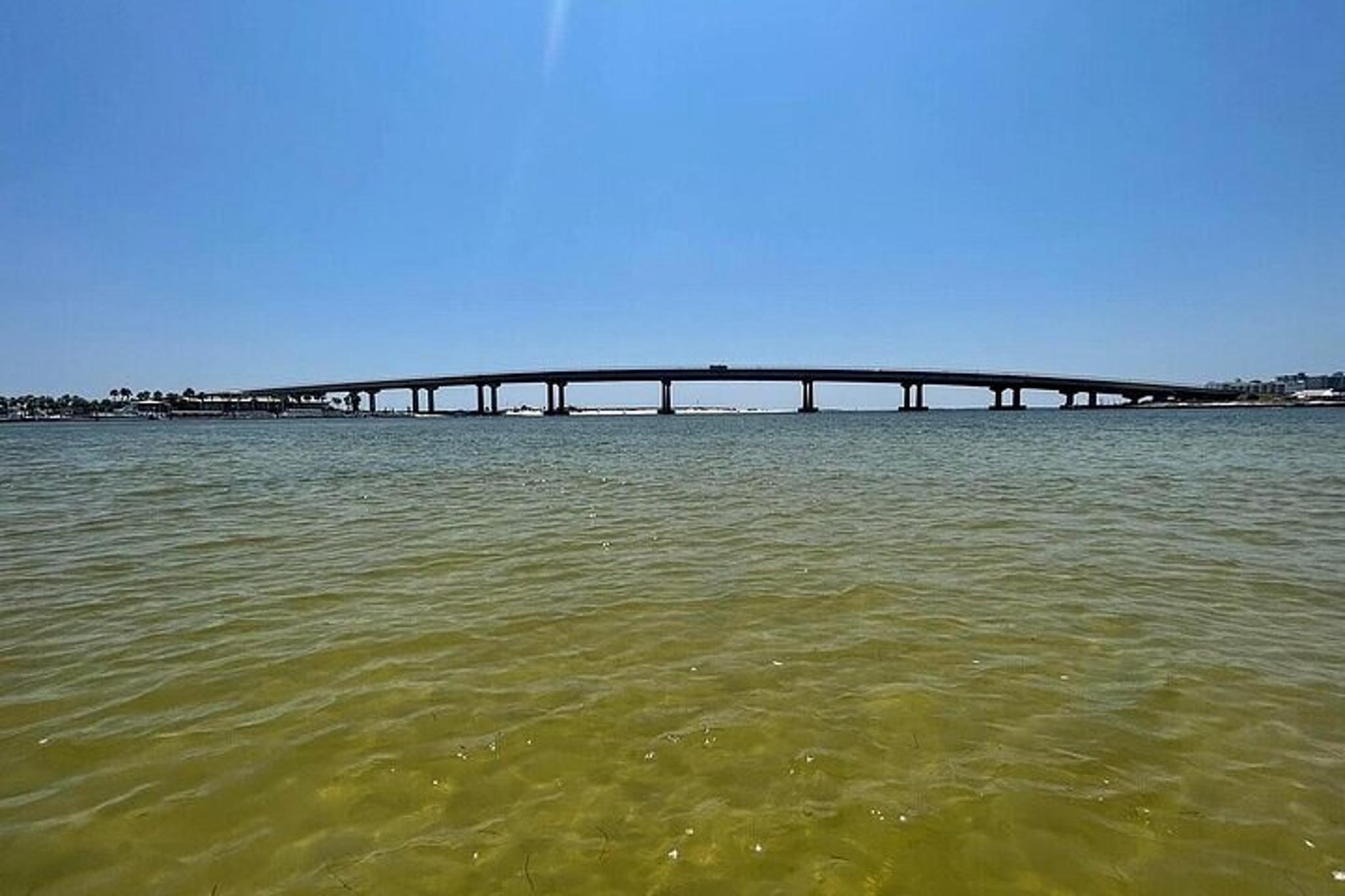 Orange Beach Pontoon Boat Rental - Image 2