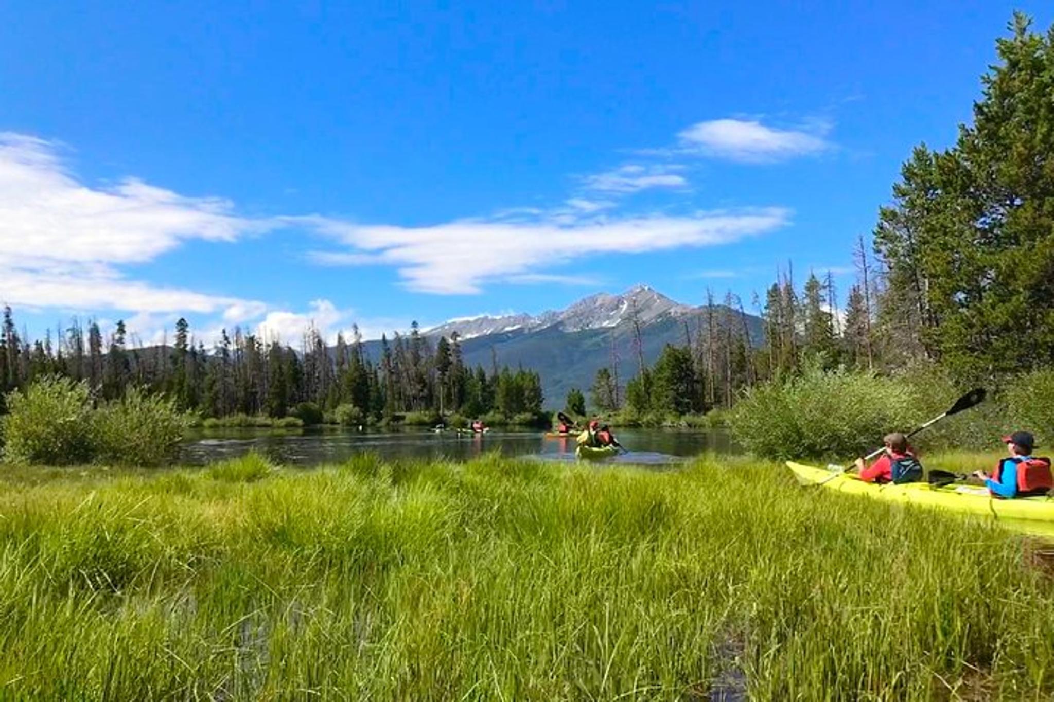 Frisco Island Kayak Tour - Image 4