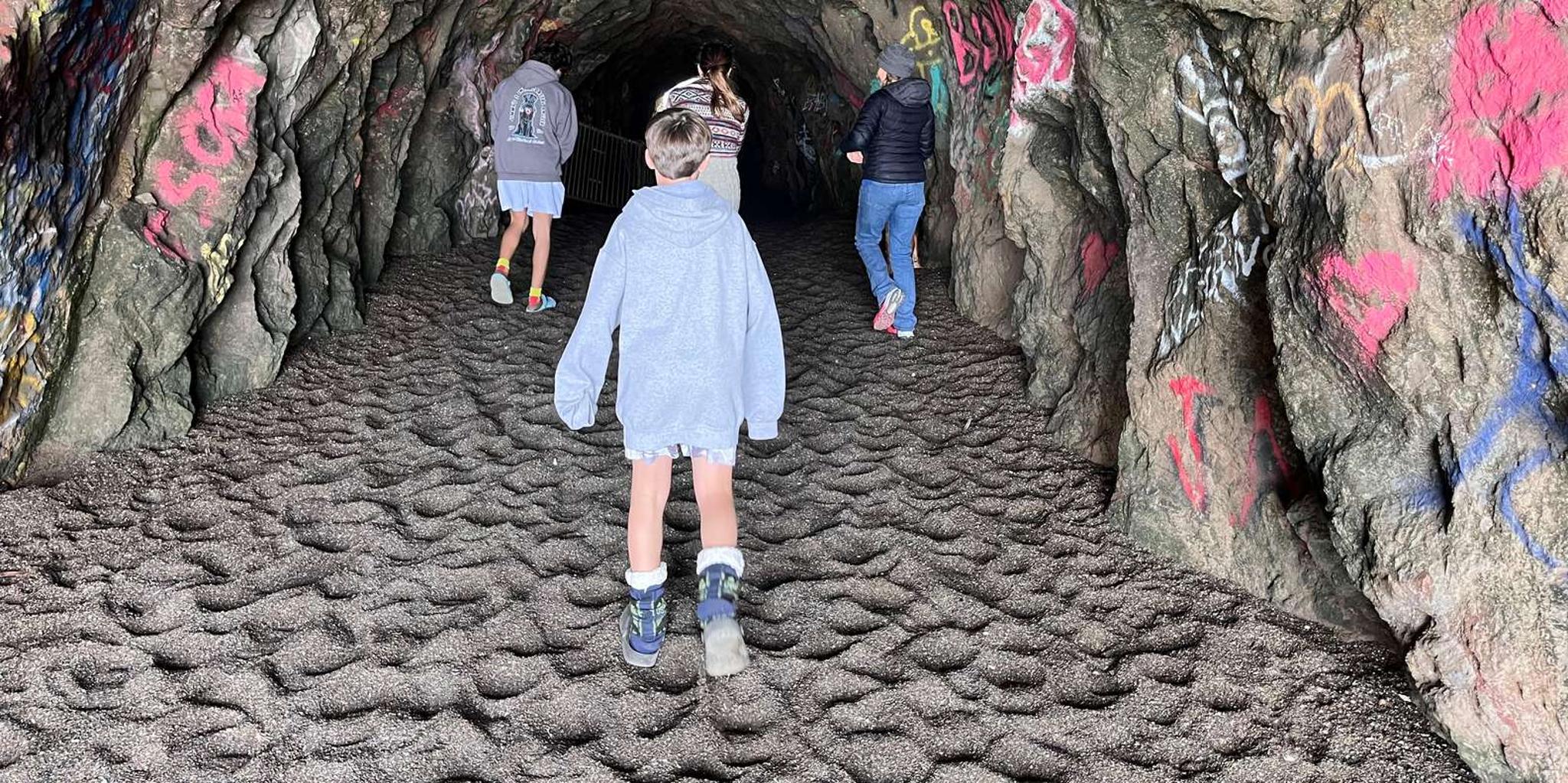 San Francisco Wild Coast Walking Tour - Image 3