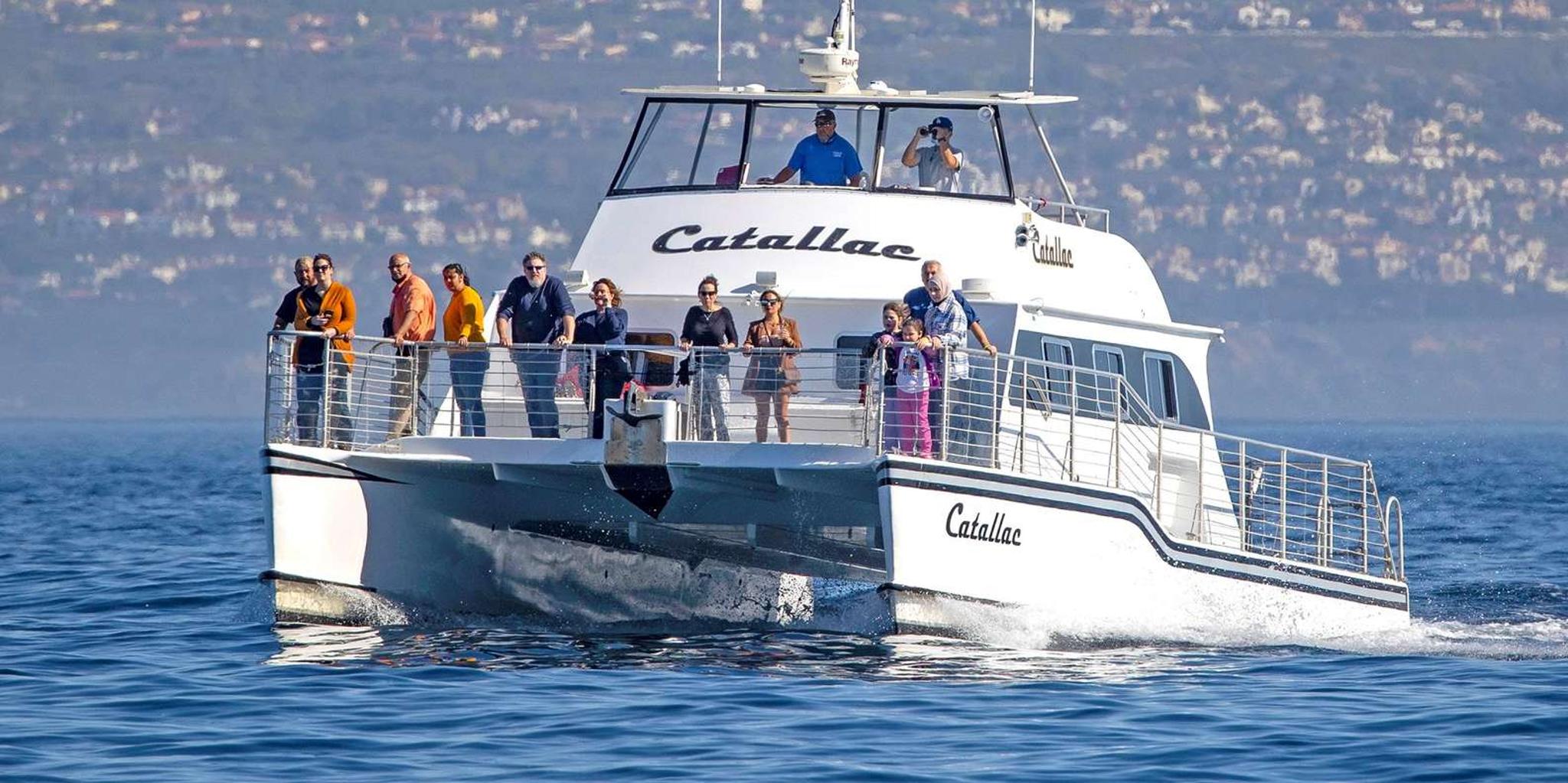 Newport Beach Whale Watching Catamaran Cruise - Image 4
