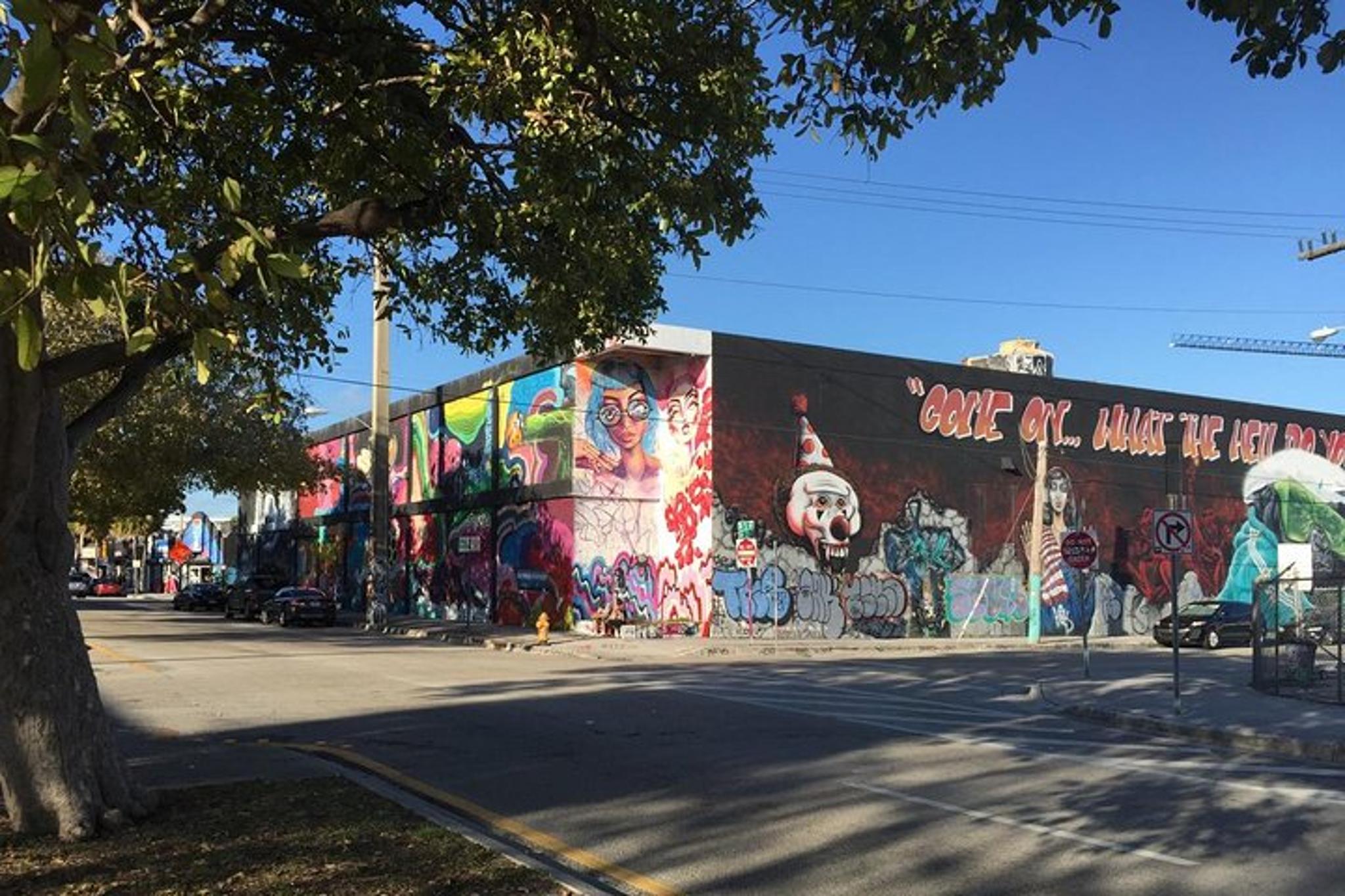 Miami Street Art Tour in Wynwood - French Guided - Image 6