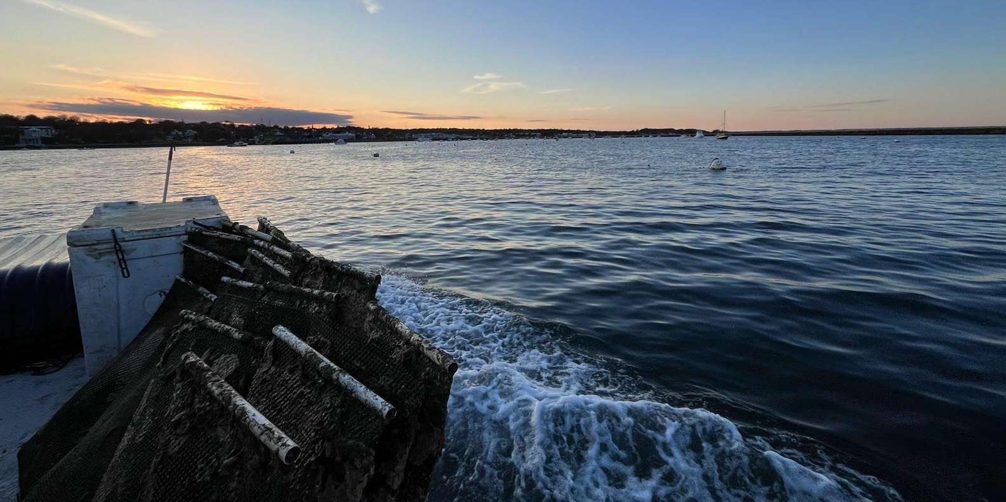 Plymouth Oyster Farm Boat Tour with Tasting - Image 3