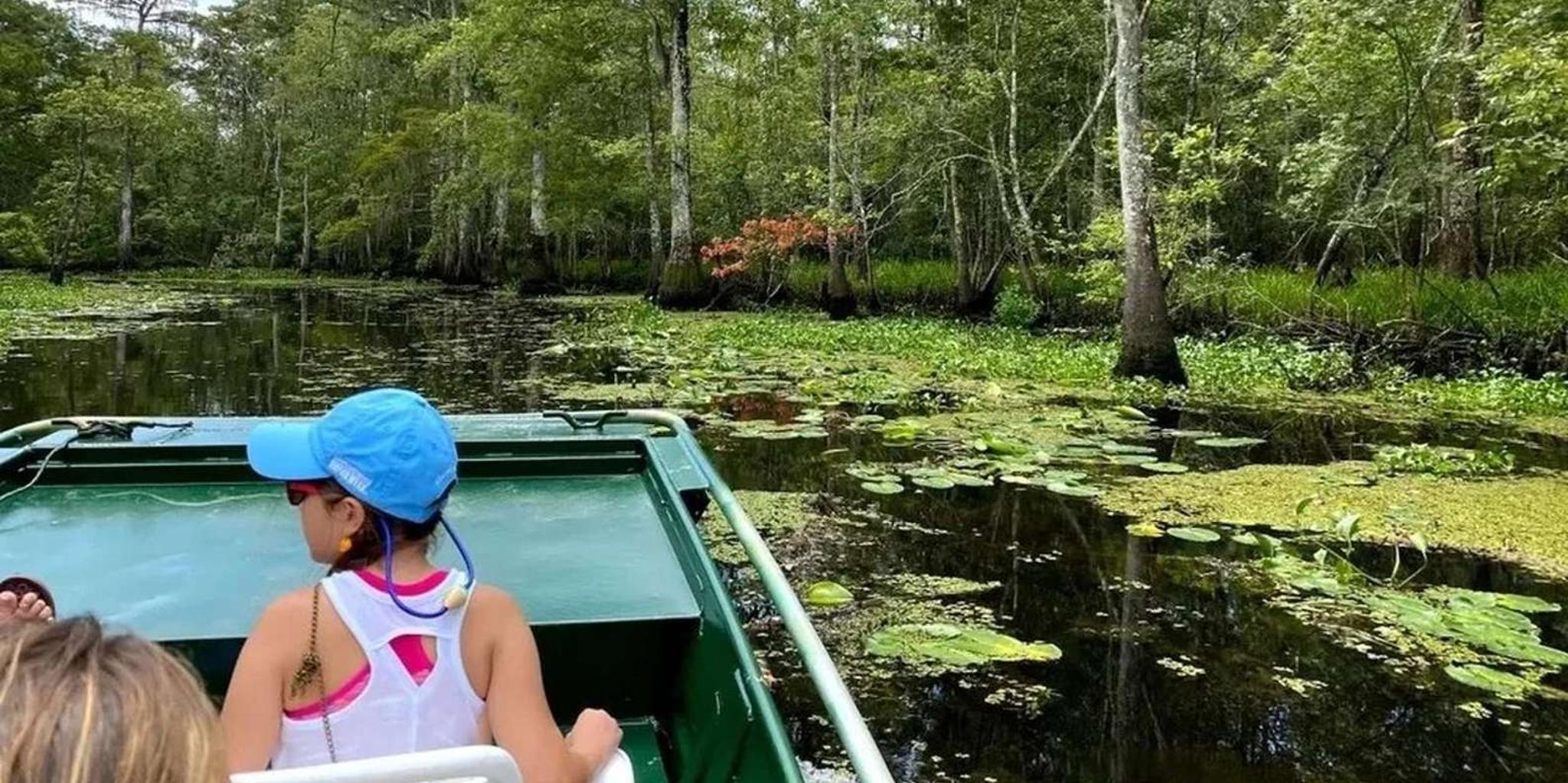 New Orleans Swamp Eco Tour with Local Guide 2 hr
