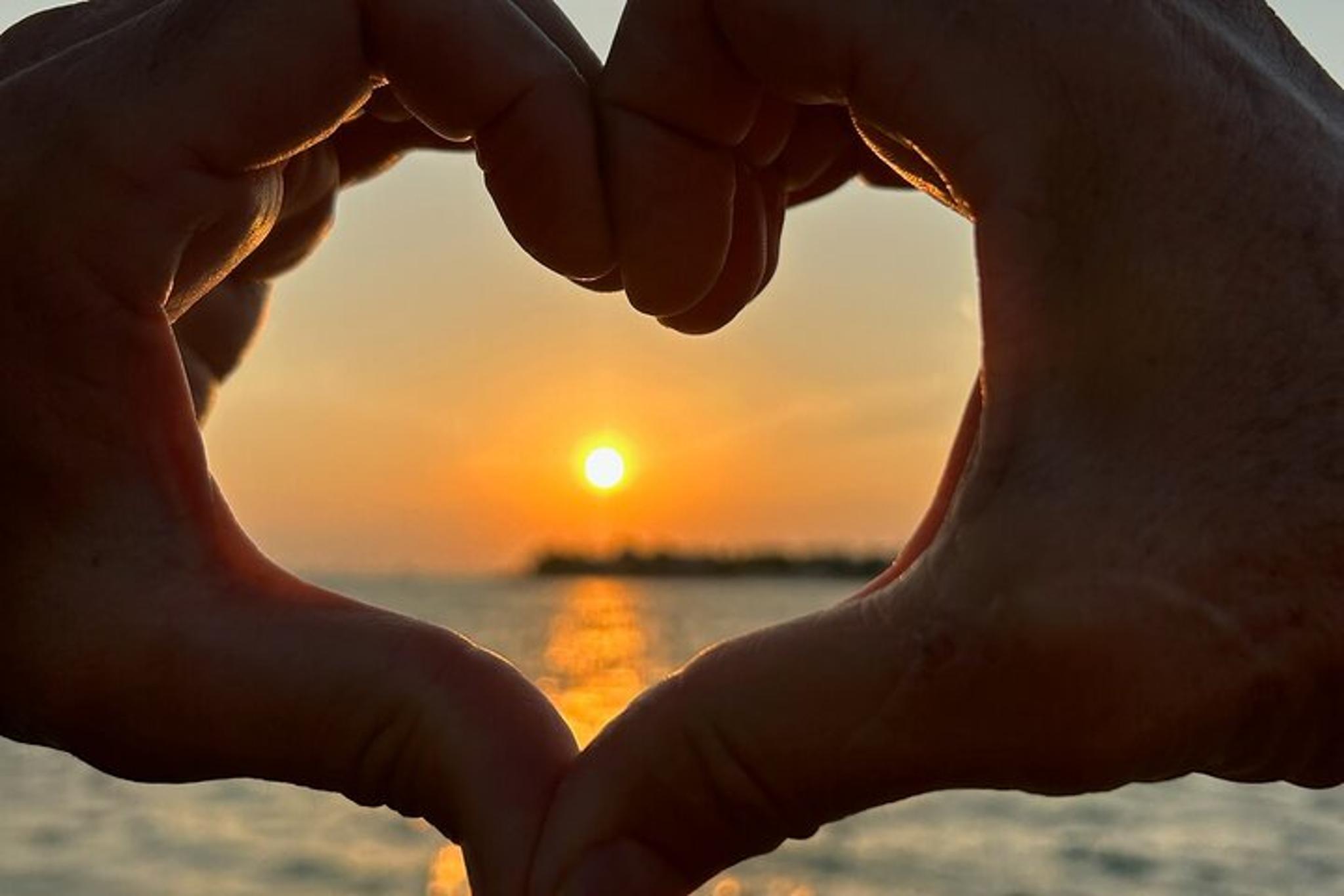 Oak Hill Bioluminescence Paddle Tour - Image 6