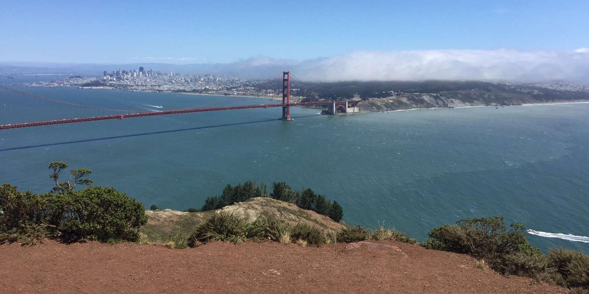 San Francisco Muir Woods and Golden Gate Private Tour - Image 3