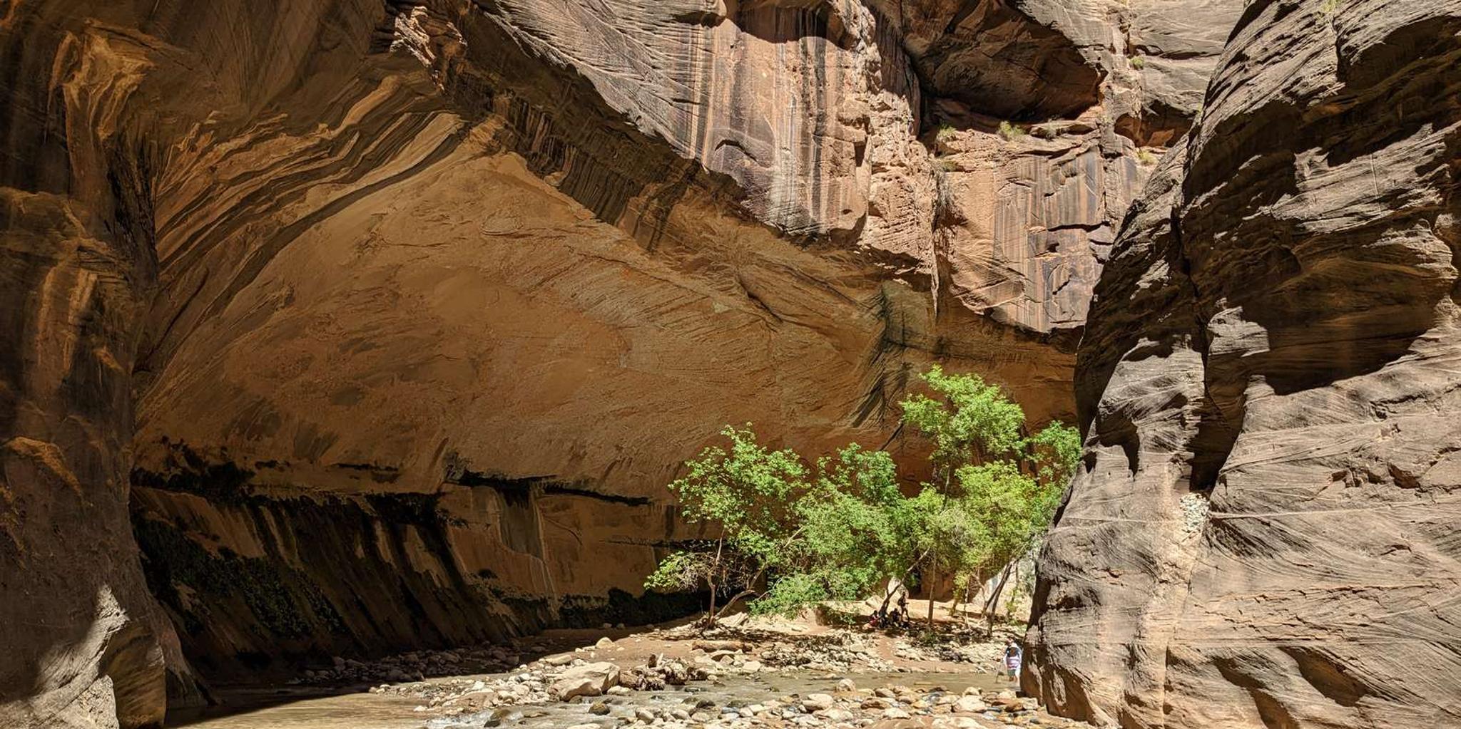 Las Vegas Zion National Park Small Group Tour - Image 4