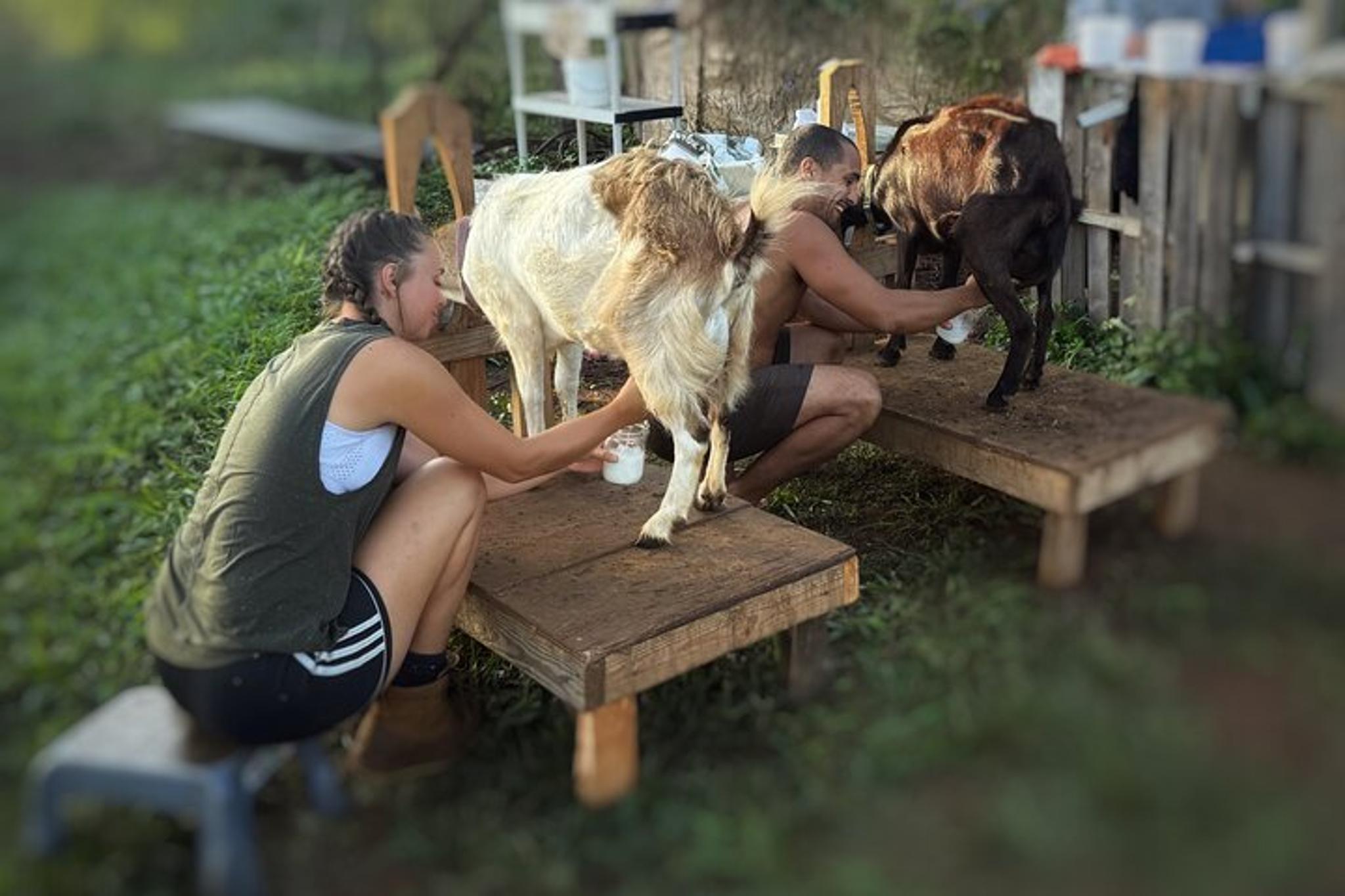 Kauai Baby Farm Animal Experience - Image 3