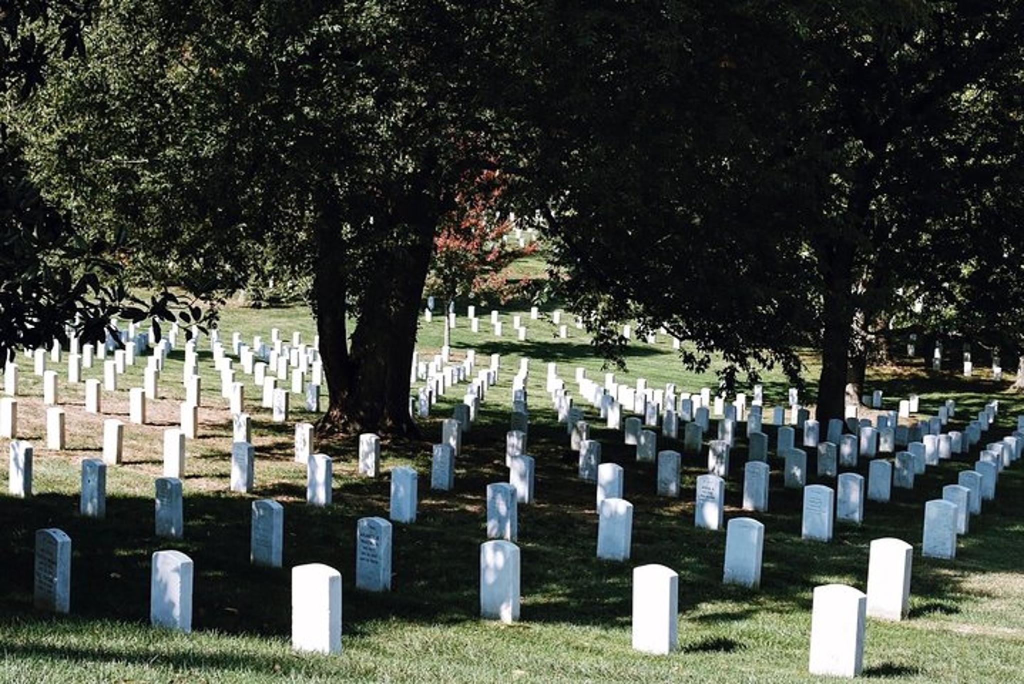 Arlington Cemetery Changing of the Guard Guided Tour - Image 6