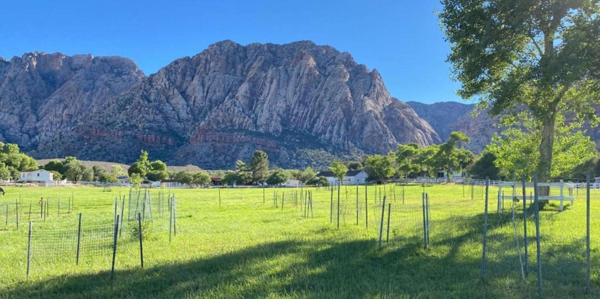 Las Vegas Spring Mountain Ranch Hike and House Visit - Image 4